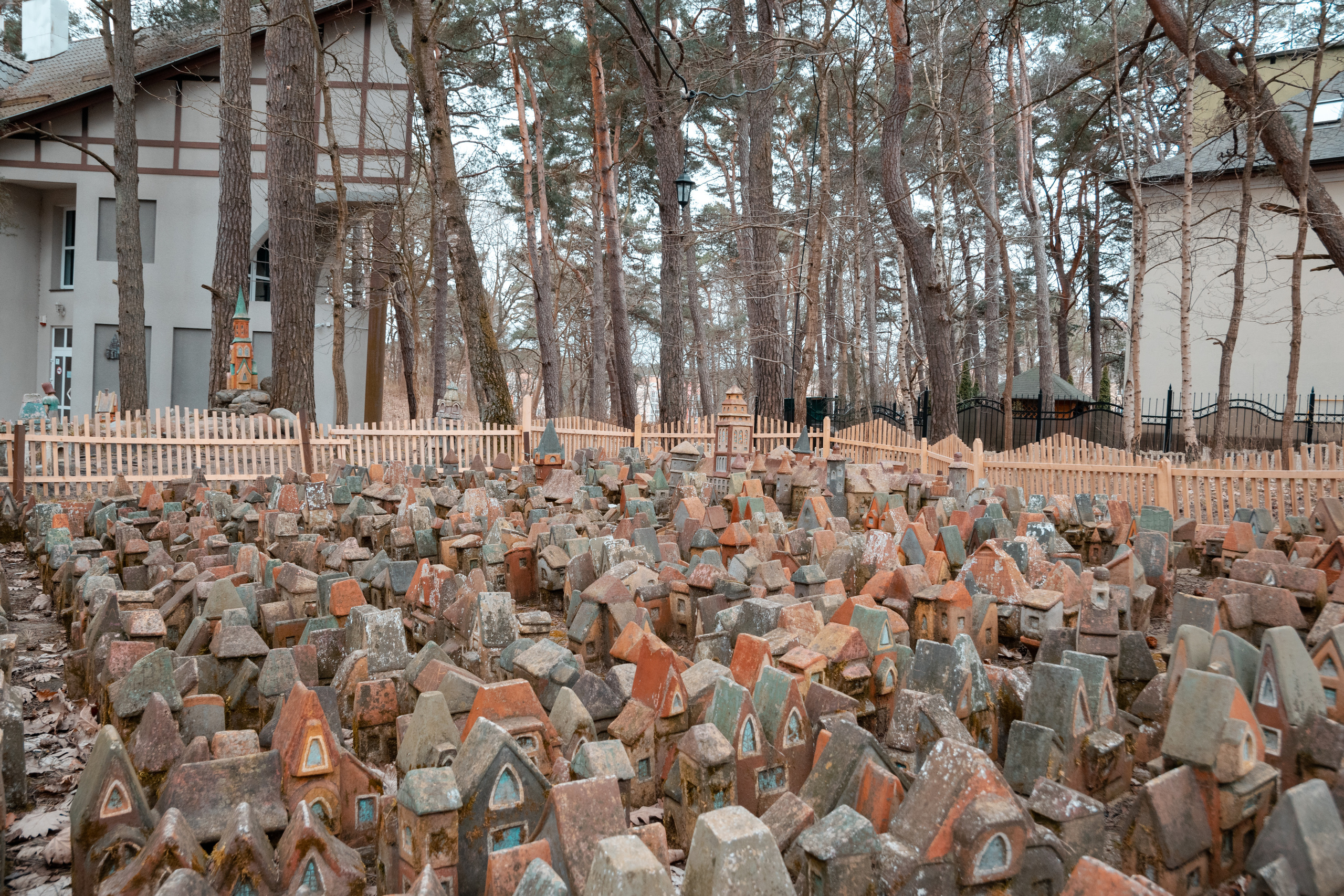 Поездка в Калининград. Фотограф людей и животных в Санкт-Петербурге Марина Бурмистрова