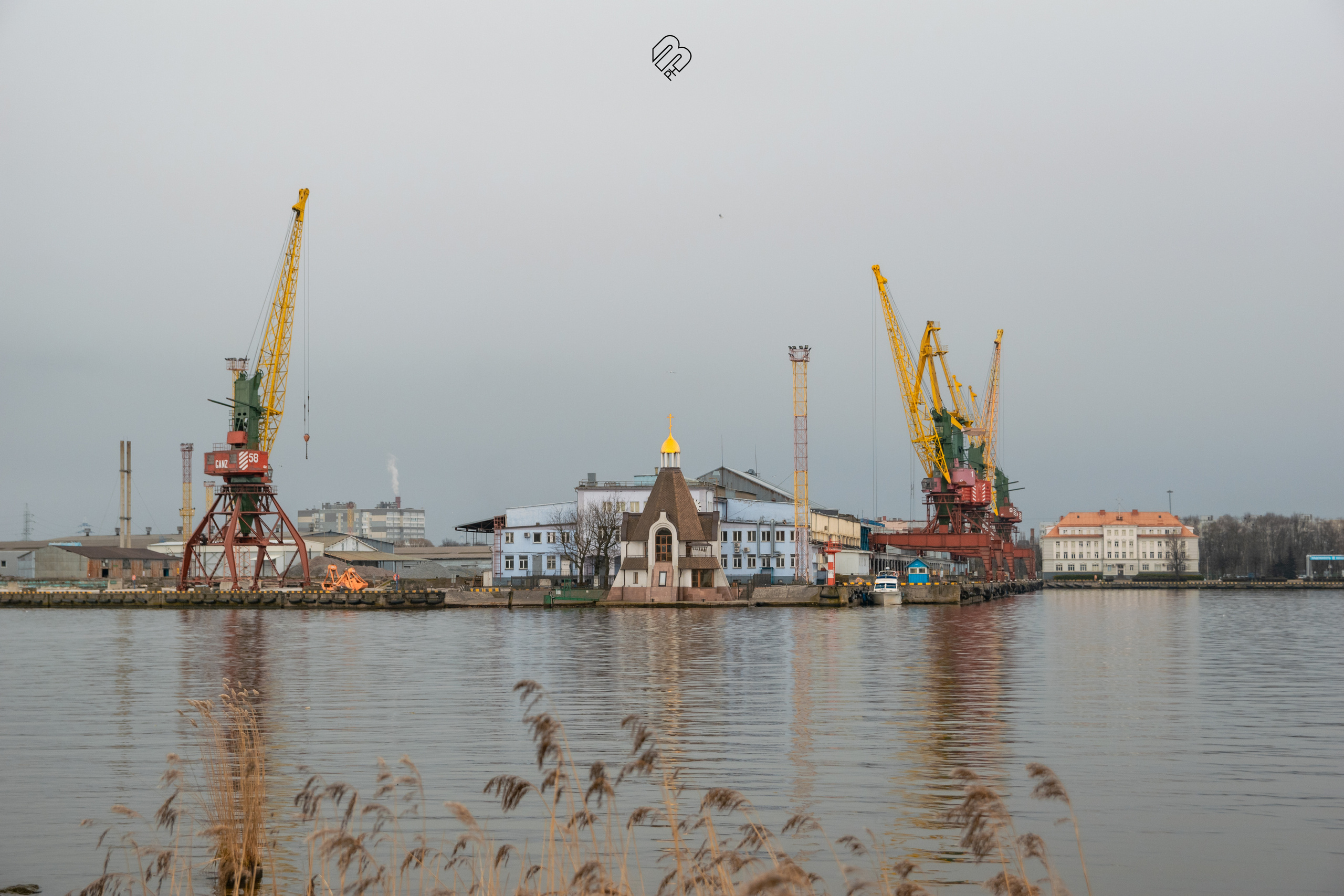 Поездка в Калининград. Фотограф людей и животных в Санкт-Петербурге Марина Бурмистрова