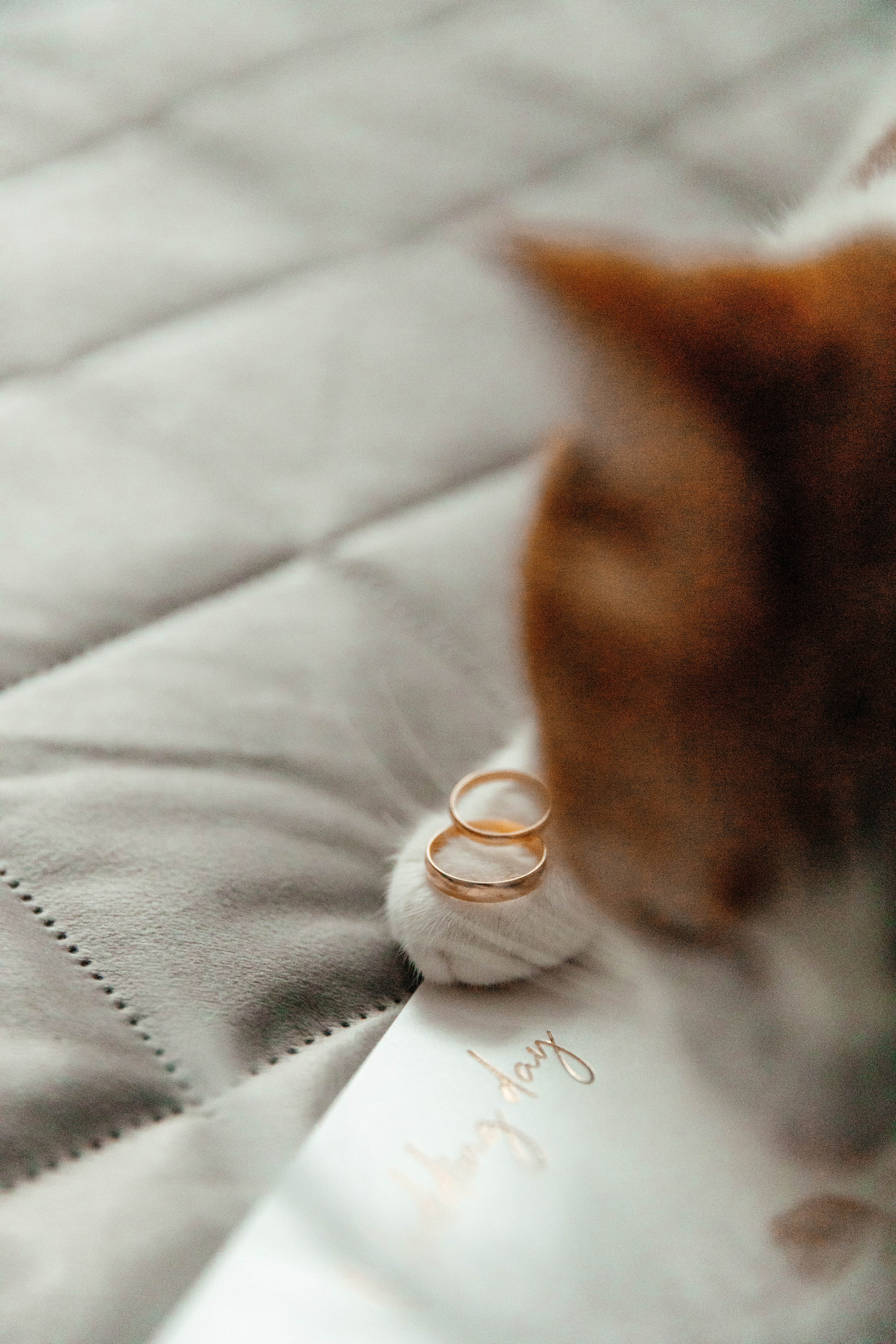 Кирилл & Ксения. Свадебный и семейный фотограф в Ижевске