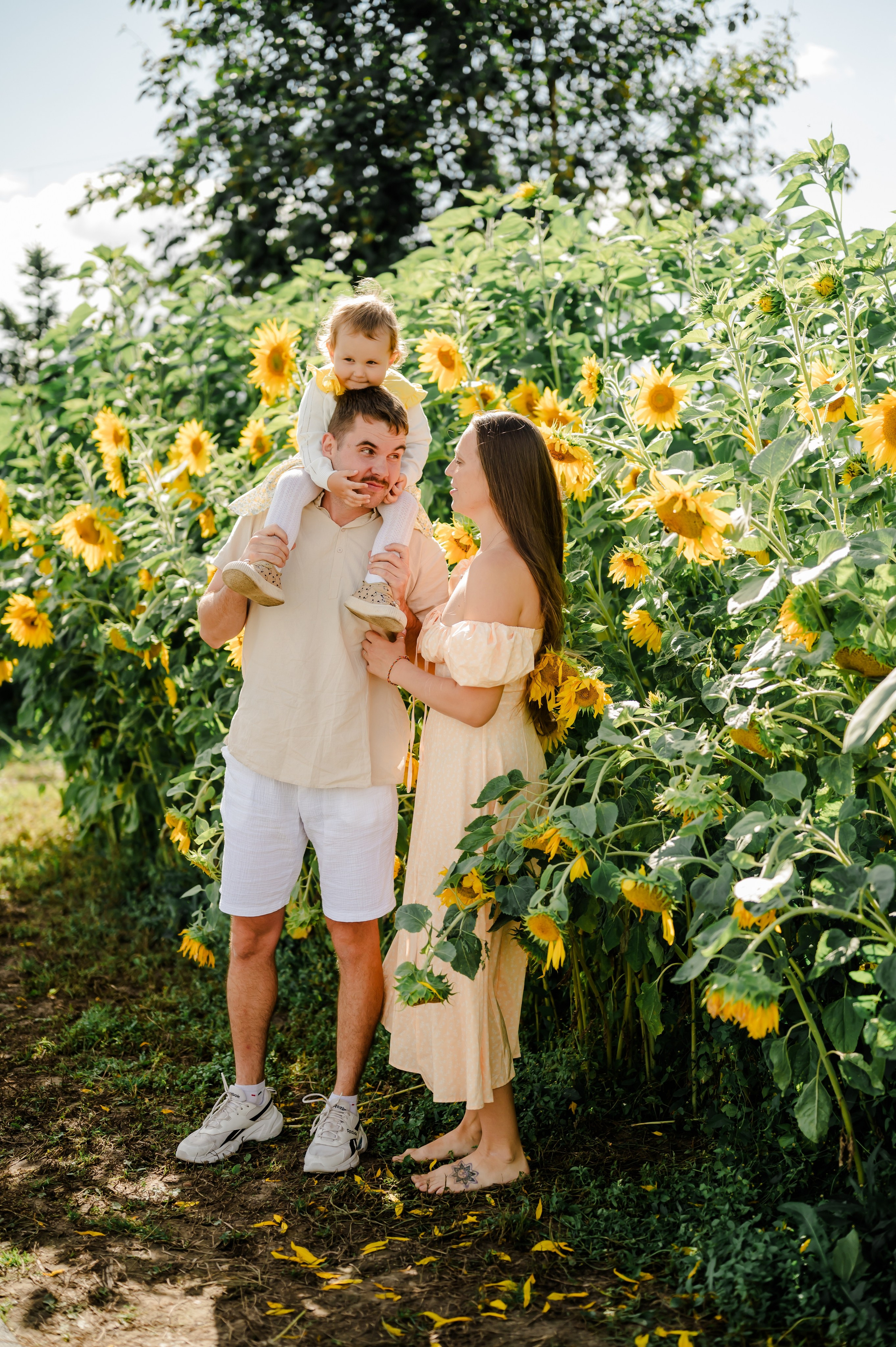 Подсолнухи. Свадебный и семейный фотограф Евгения Кононова