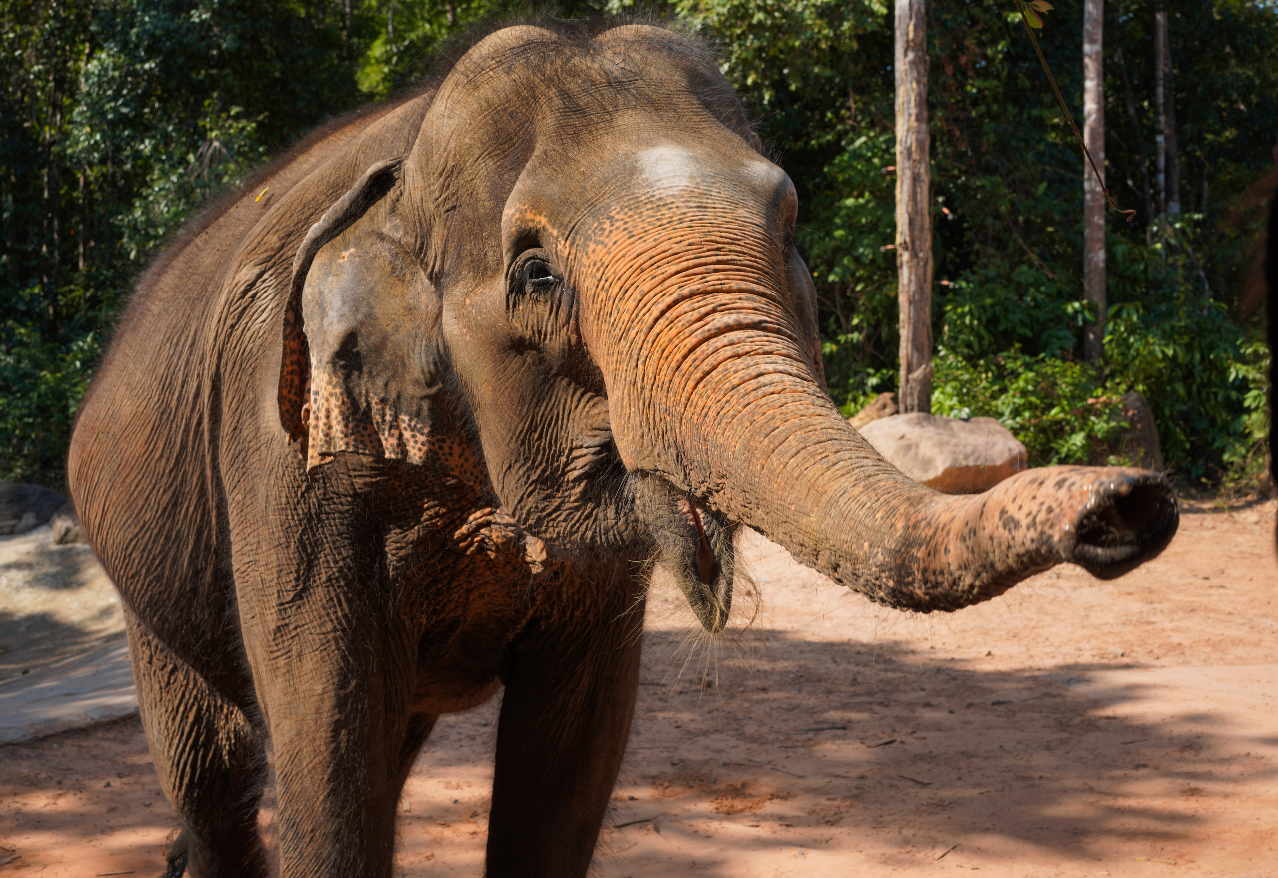 Остров Фукуок, Вьетнам. Фотограф Сергей Кишкель Дананг Нячанг Фукуок