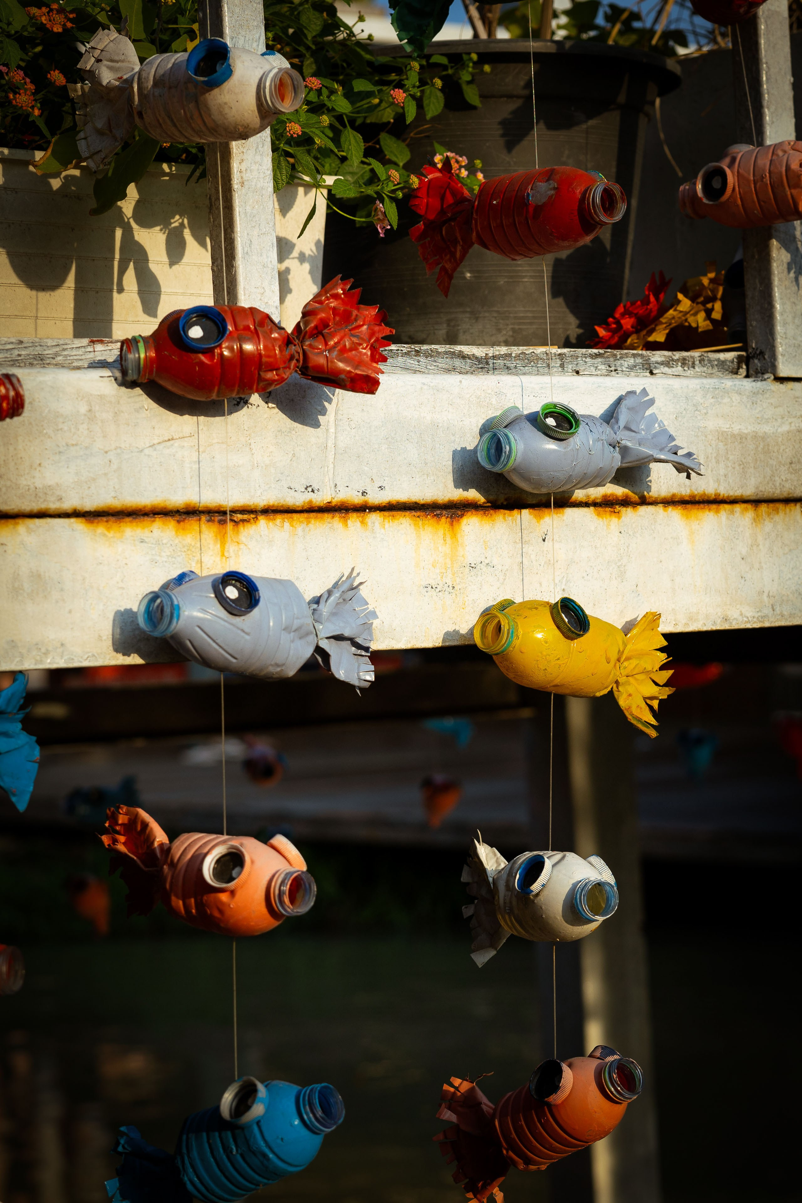 Таиланд (зима 2025). Фотограф Виноградов Константин