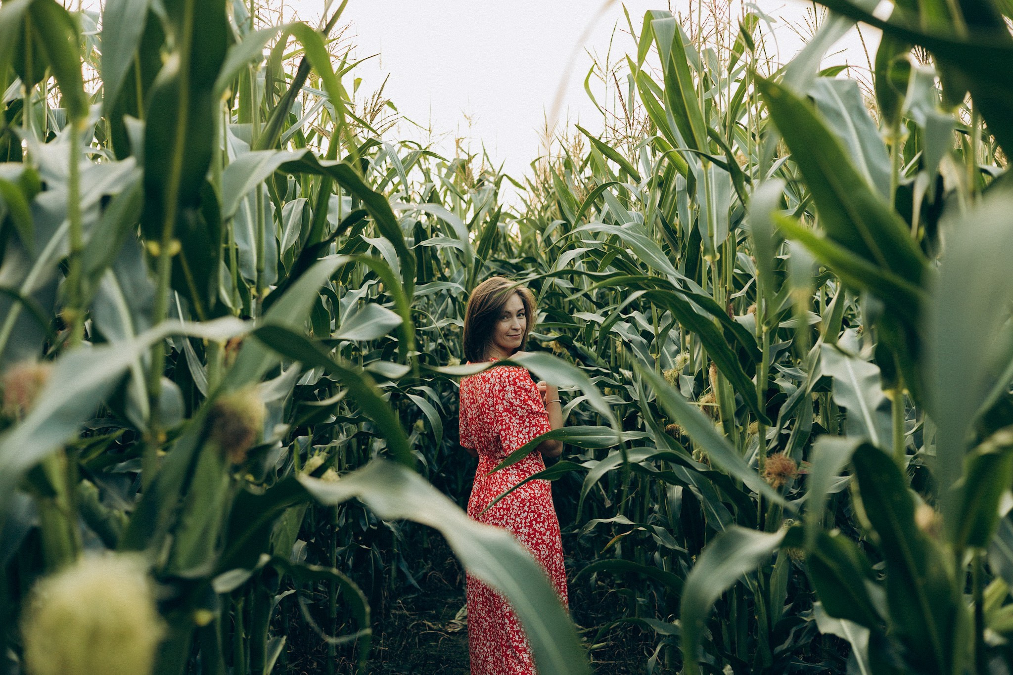 В кукурузе. Главная