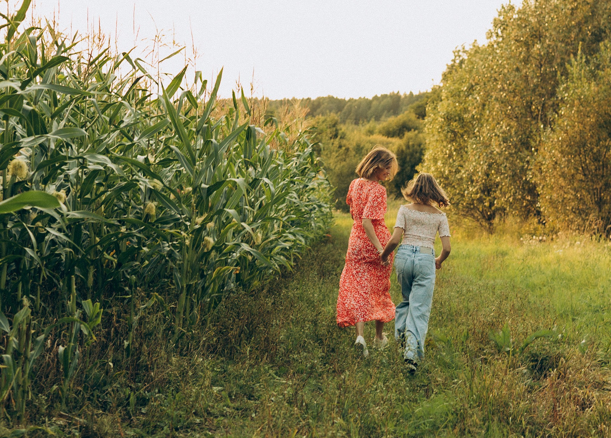 В кукурузе. Главная