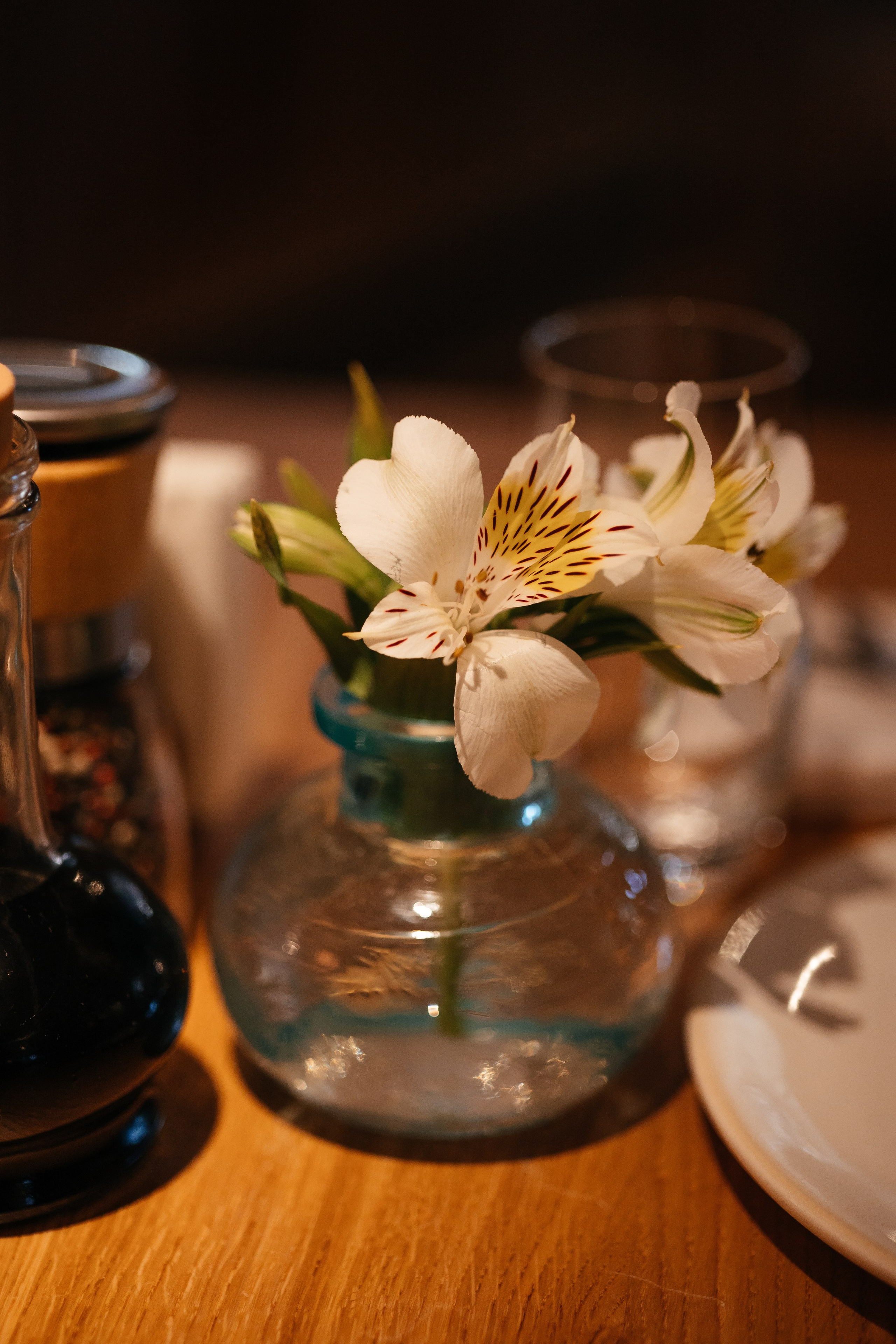 Открытие ресторана Сыроварня. Фотограф Крохин Олег