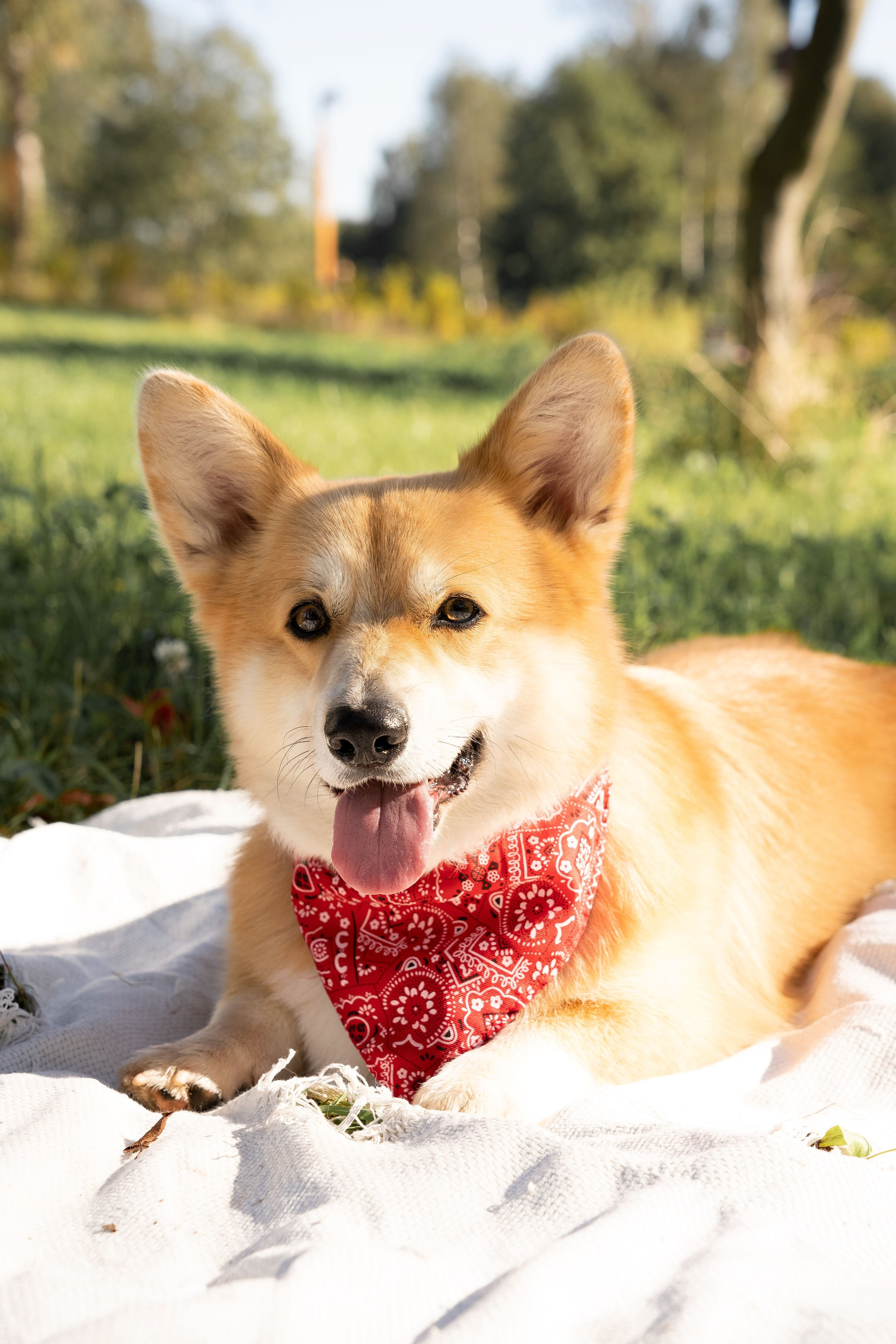 В парке. Студийный и портретный фотограф в САНКТ-ПЕТЕРБУРГЕИрина Махаон
