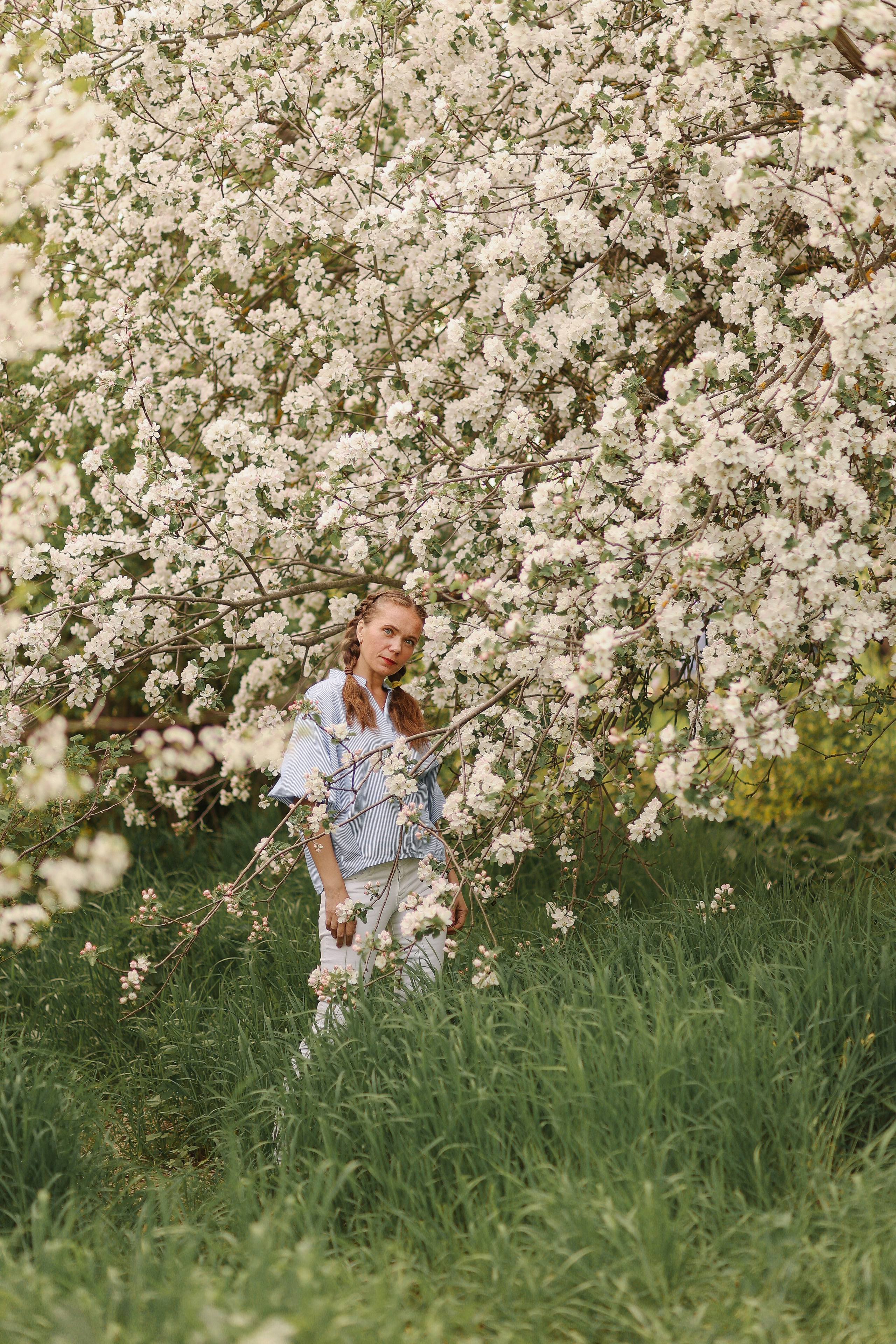 Цветение. Фотограф Алена Малинина в Санкт-Петербурге Пушкин Питер СПб Семейные и детские фотосессии