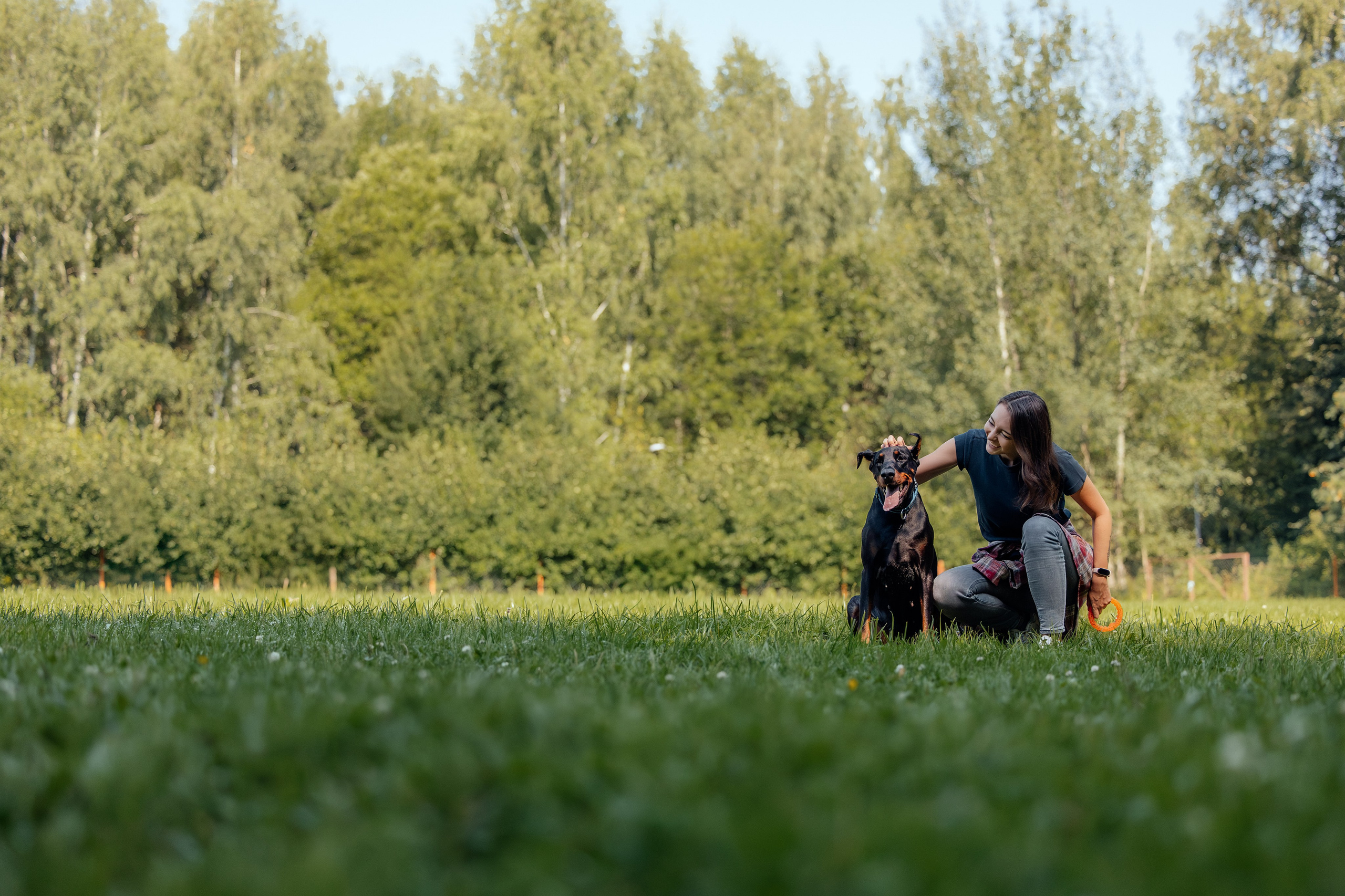 Доберман Айза. Фотограф Анималист в Москве Анастасия Жучкова