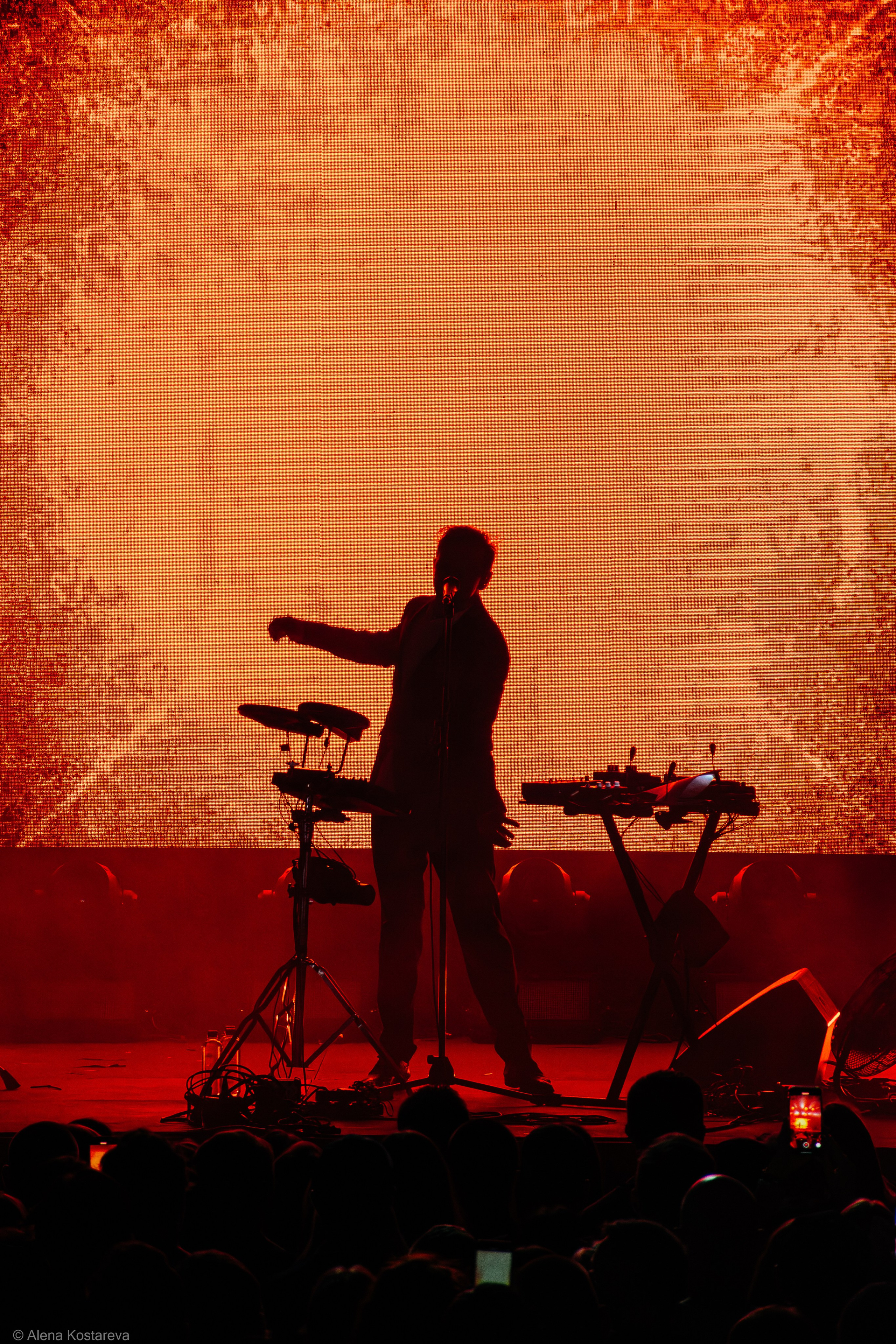 Dolphin. Алена Костарева. Фотограф в Ростове-на-Дону