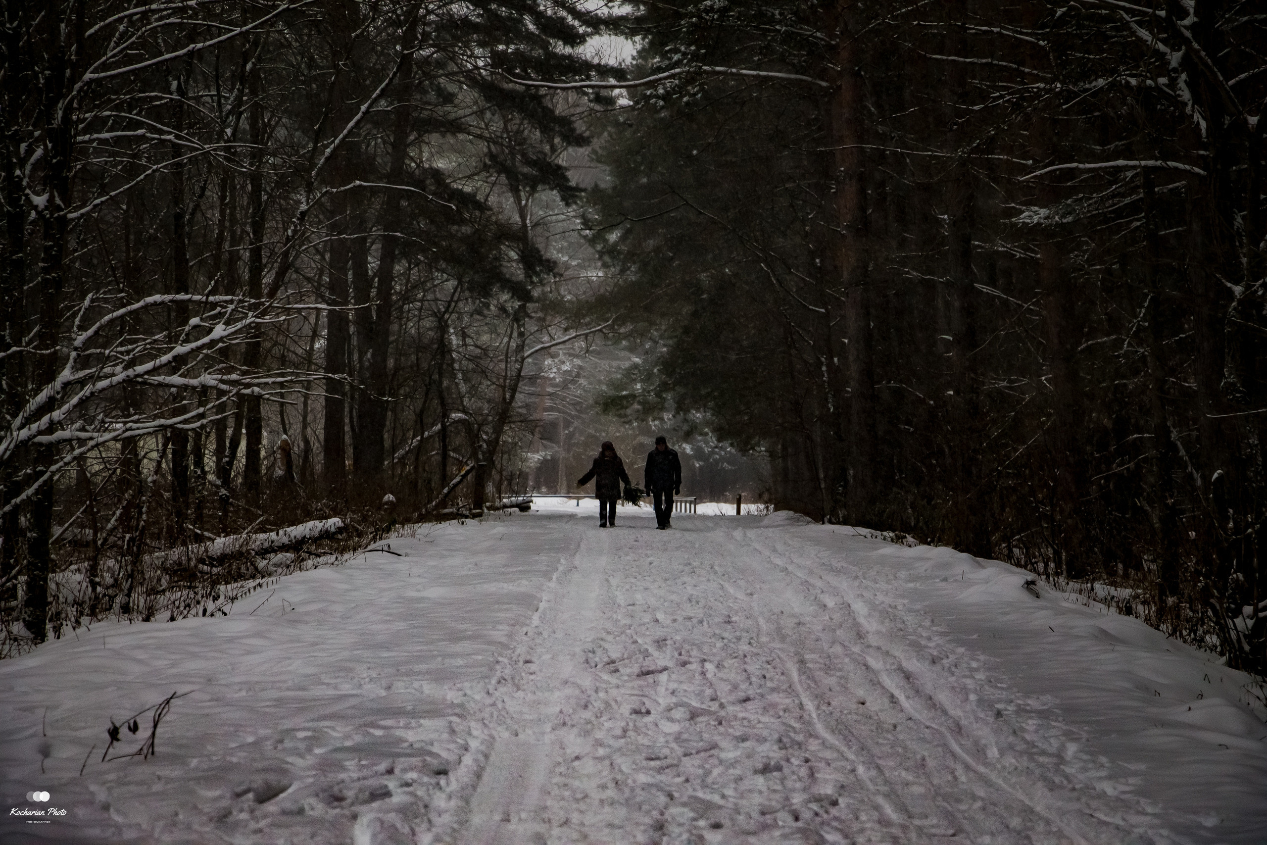 Пейзажи и природа. Photographer K.A.D