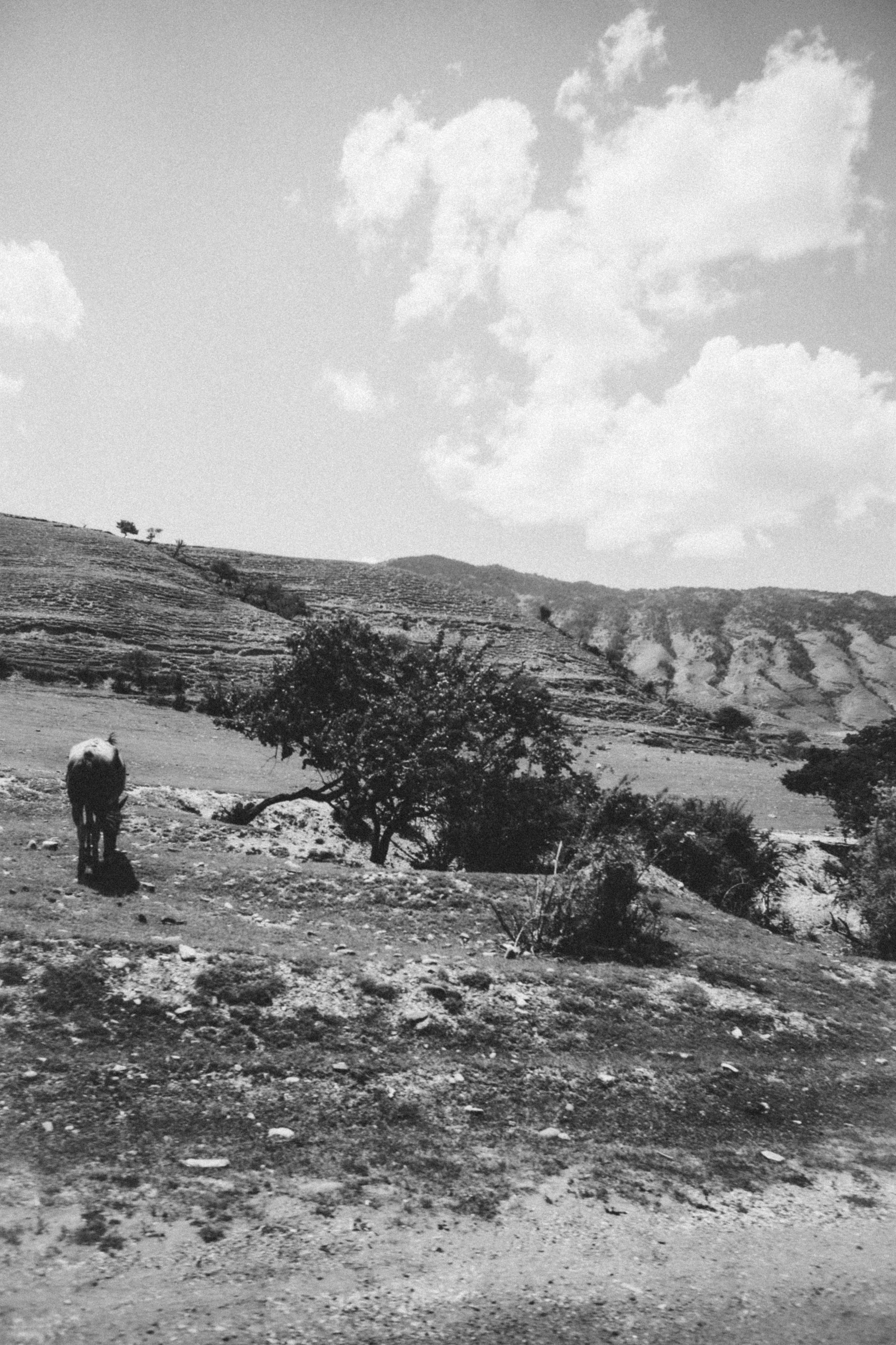 Дагестан. Чечня. 2024. Фотограф в Нижнем Новгороде