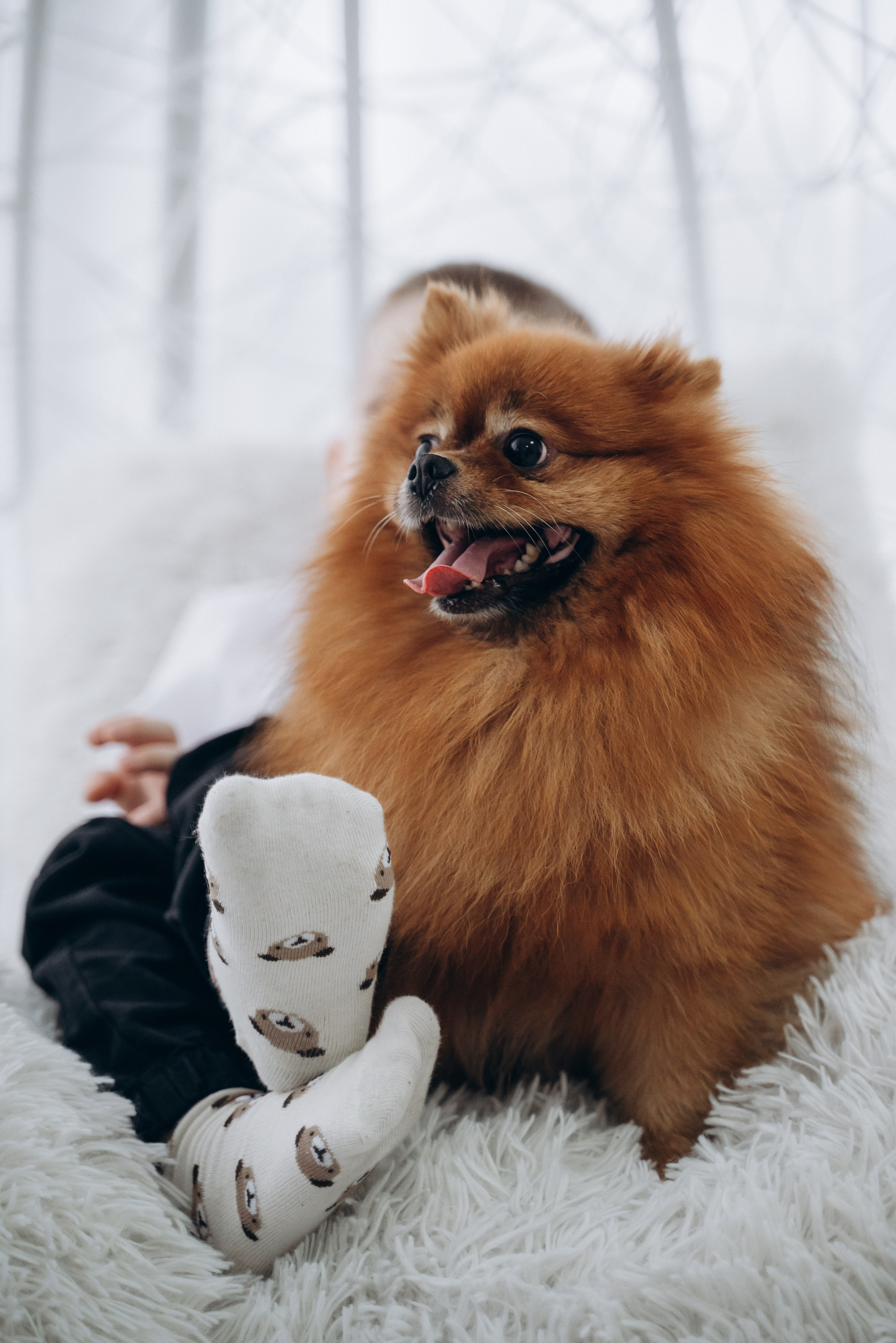 Новогодняя для Веры 2 часть. Семейный фотограф в Минске Дарья Дреко