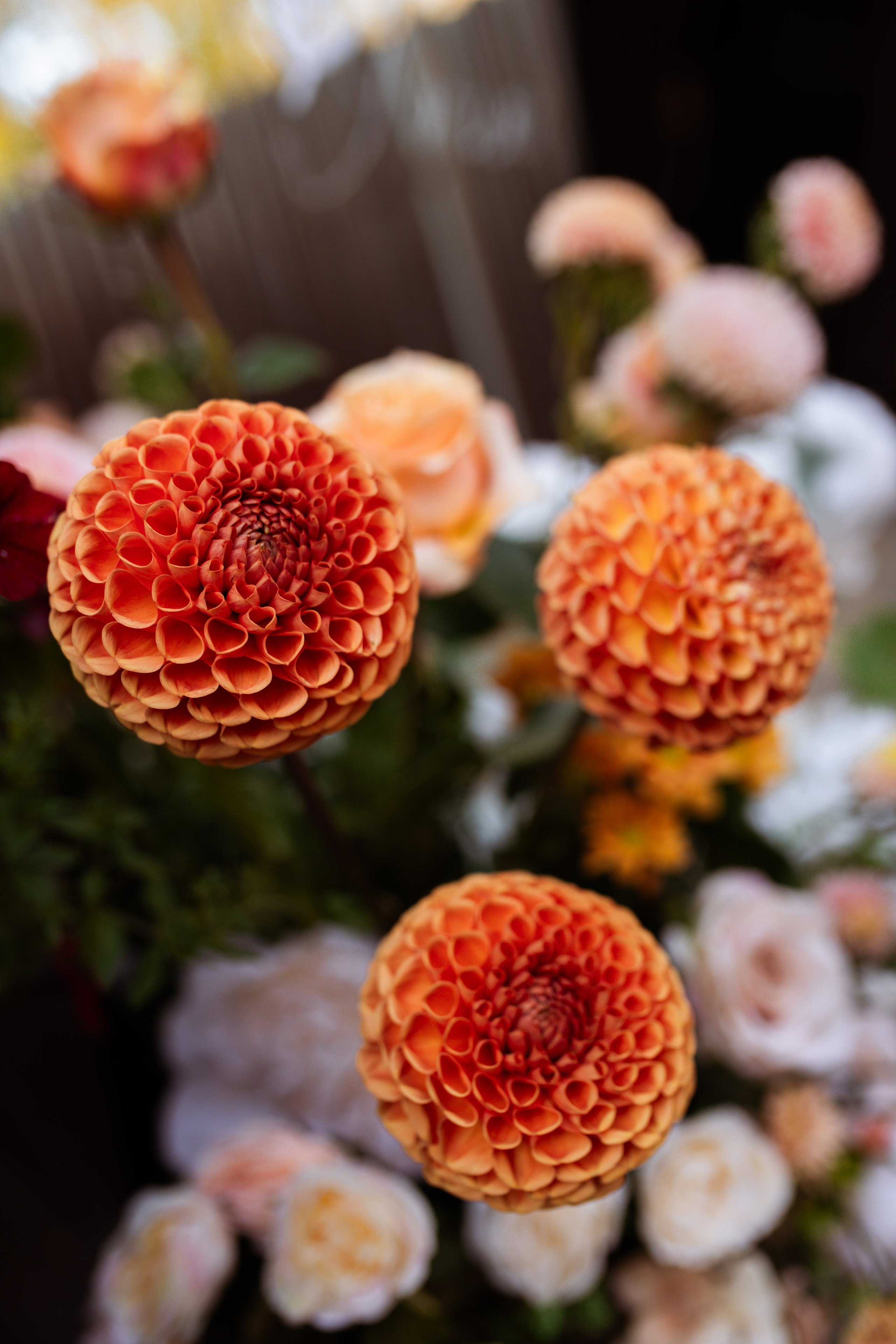 Душевная камерная свадьба с яркими акцентами. Свадебный фотограф Елена Рубцова