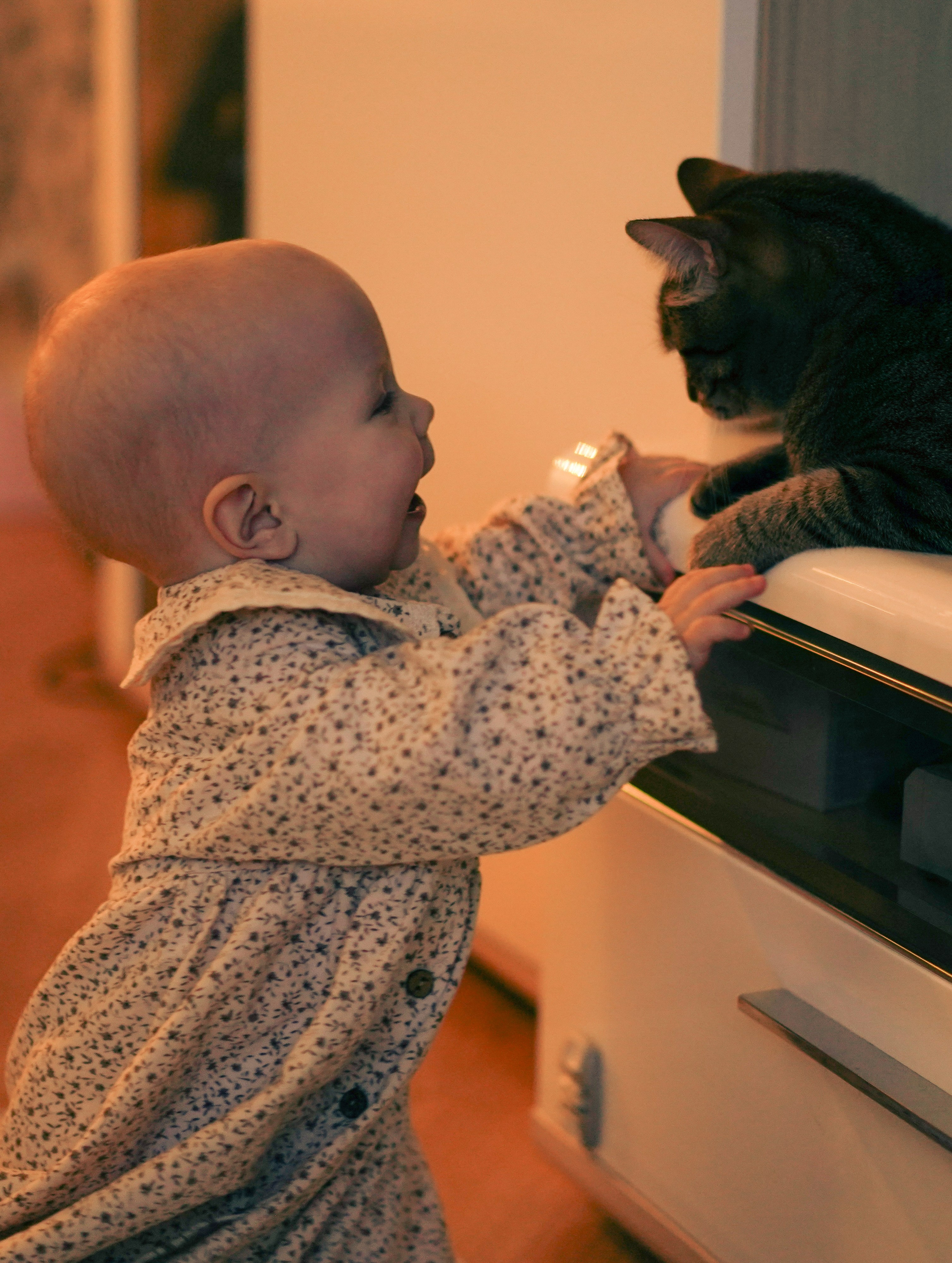Семейная съемка. Семейный и портретный фотограф в Москве Яна Прасолова