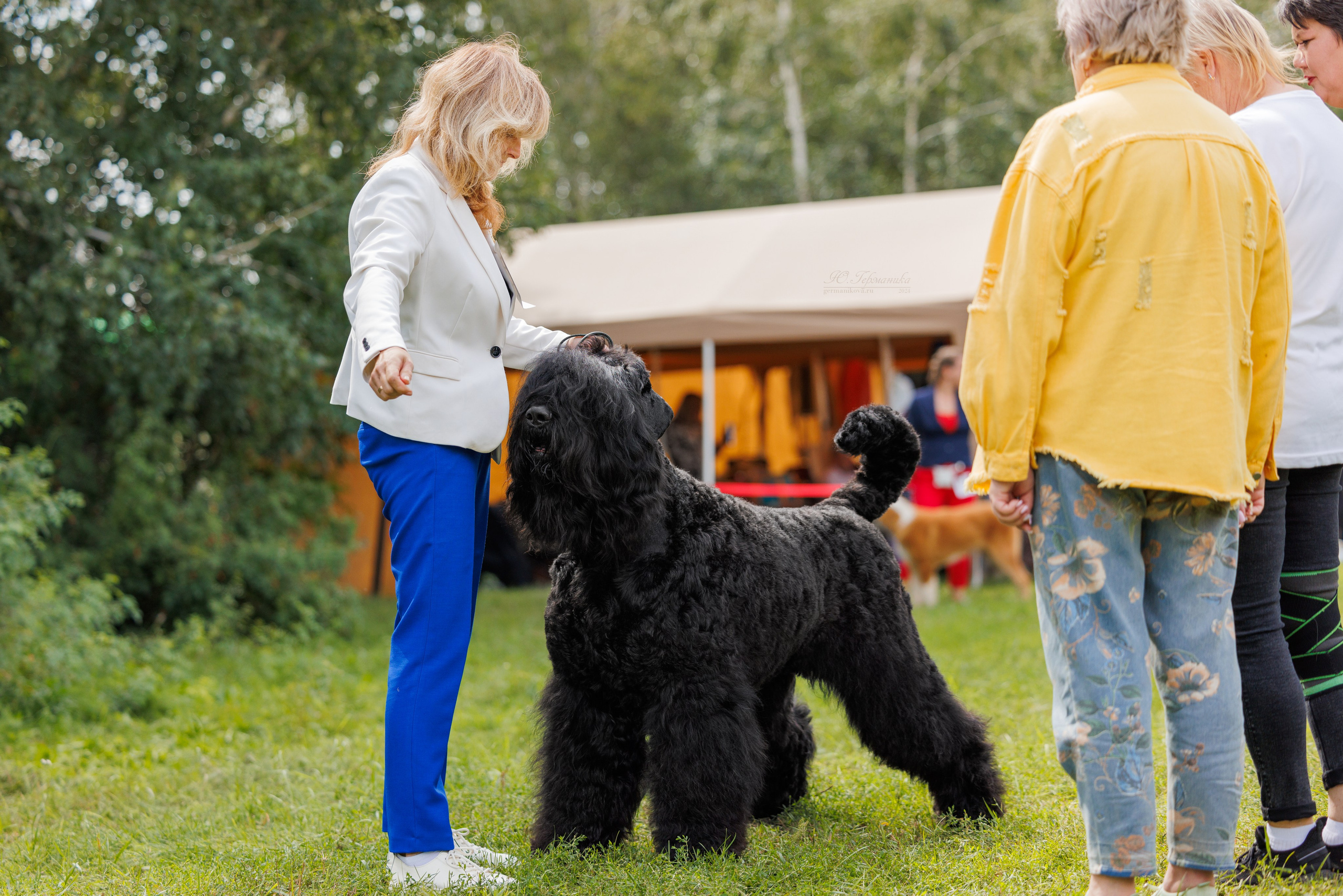 Астана 2хCACIB 17-18.08.2024. Фотограф-анималист Юлия Германика