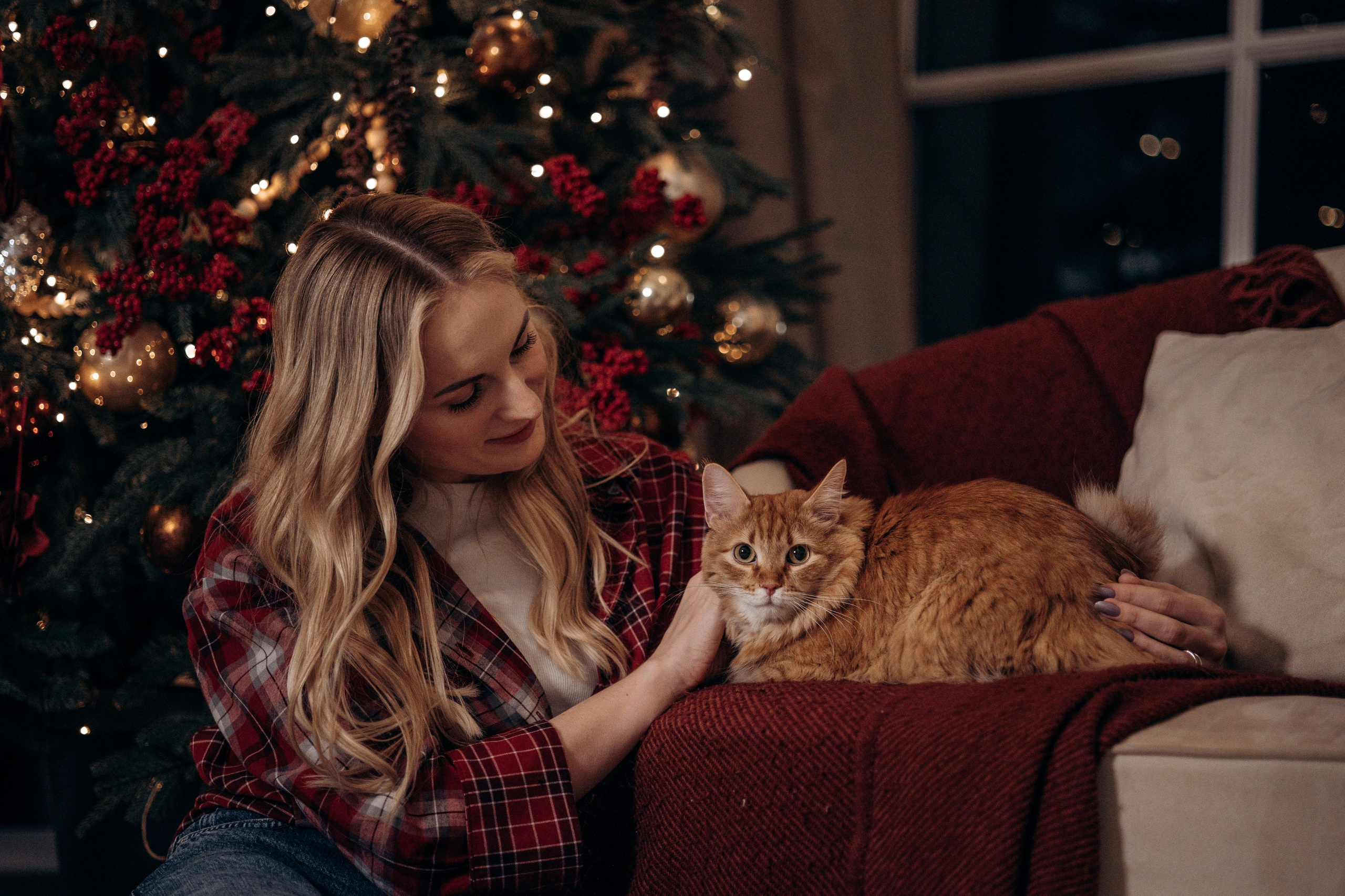 Эля и Франц. Фотограф — Анималист | Санкт-Петербург