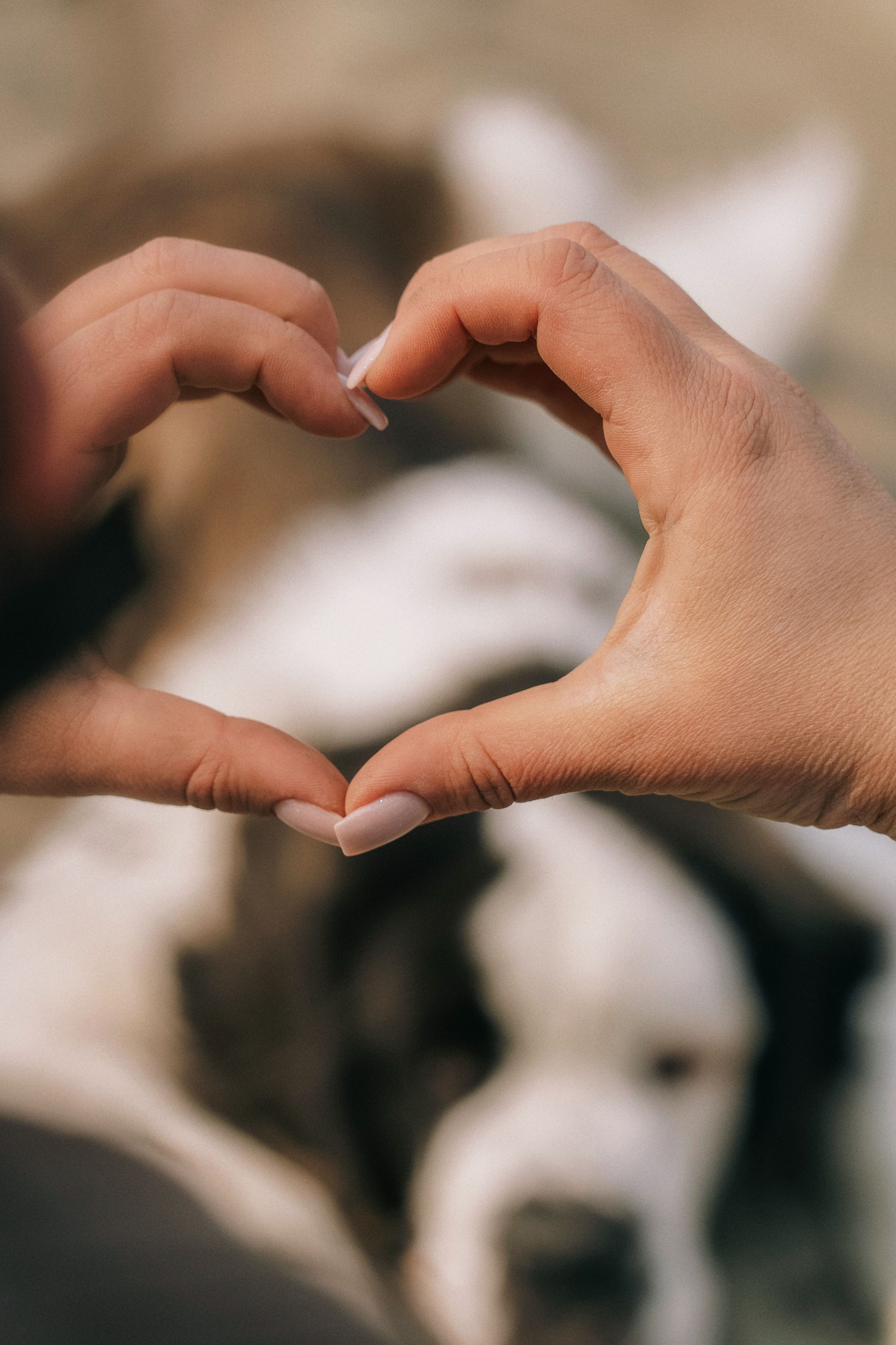 Мария и Чак. Семейный фотограф анималист г. Находка