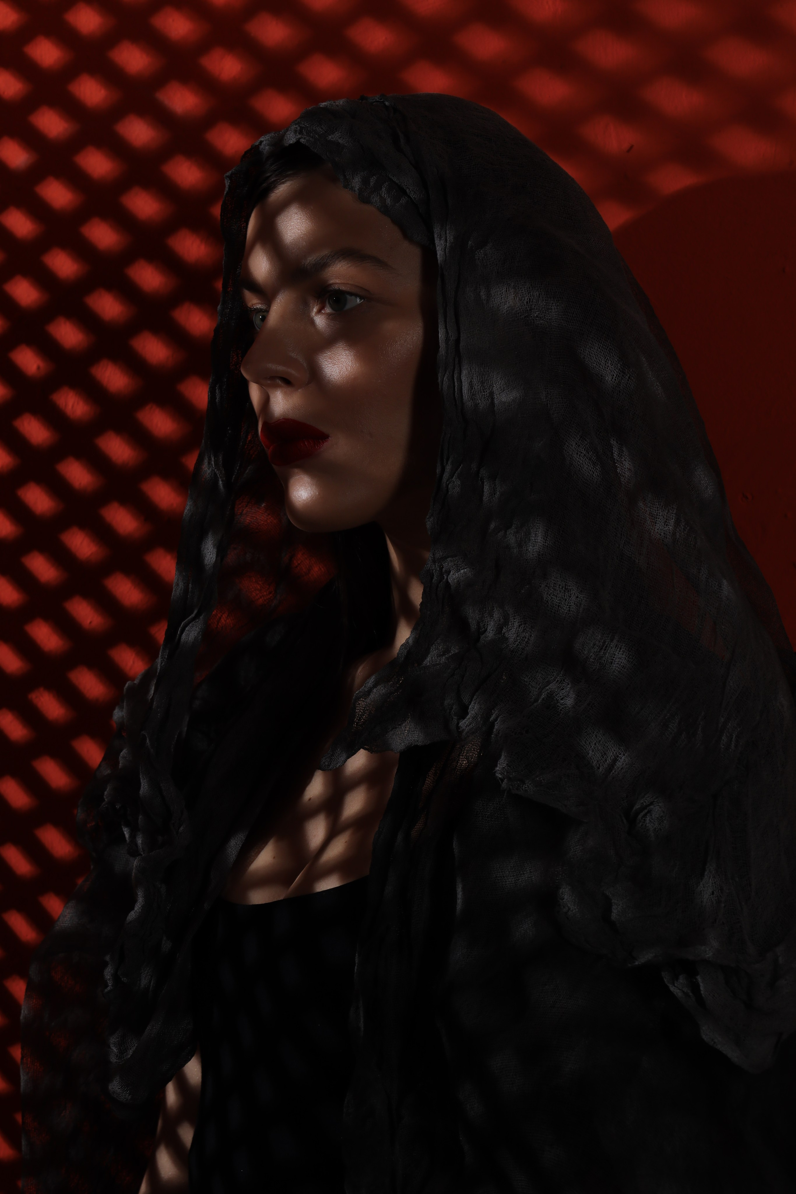 Тени. Съемка в студии под ваш запрос, студийные съемки, фотографии архитектурных объектов — Александр Евстигнеев — фотограф Москва