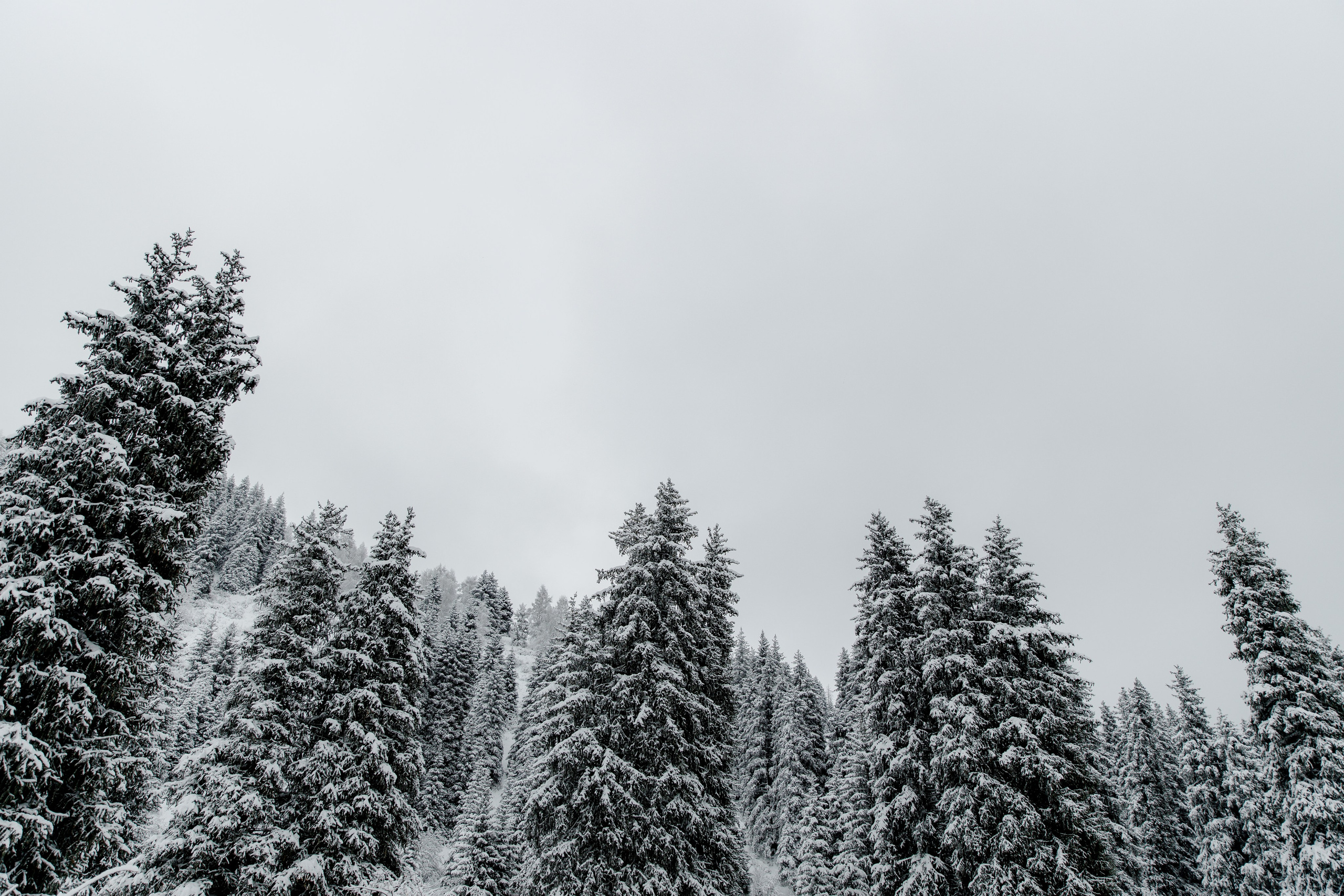 Люби!. ___________________________________________________