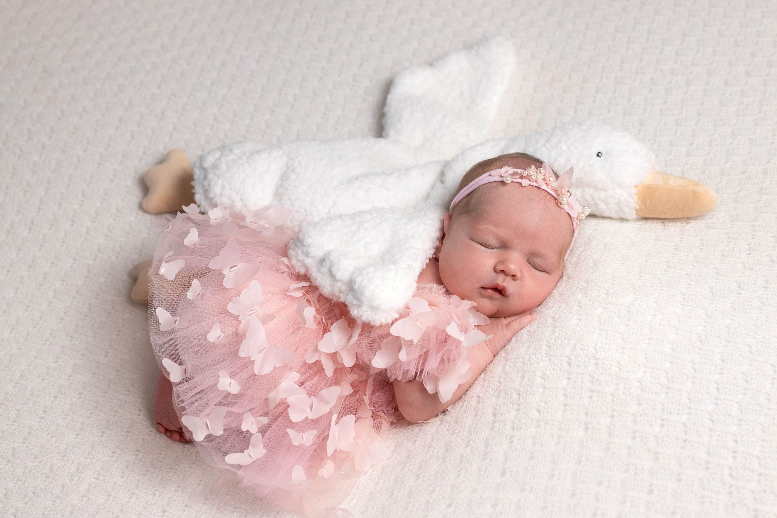 Портфолио. Фотограф новорождённых Волгоград | Волжский — Наталья Самсонова