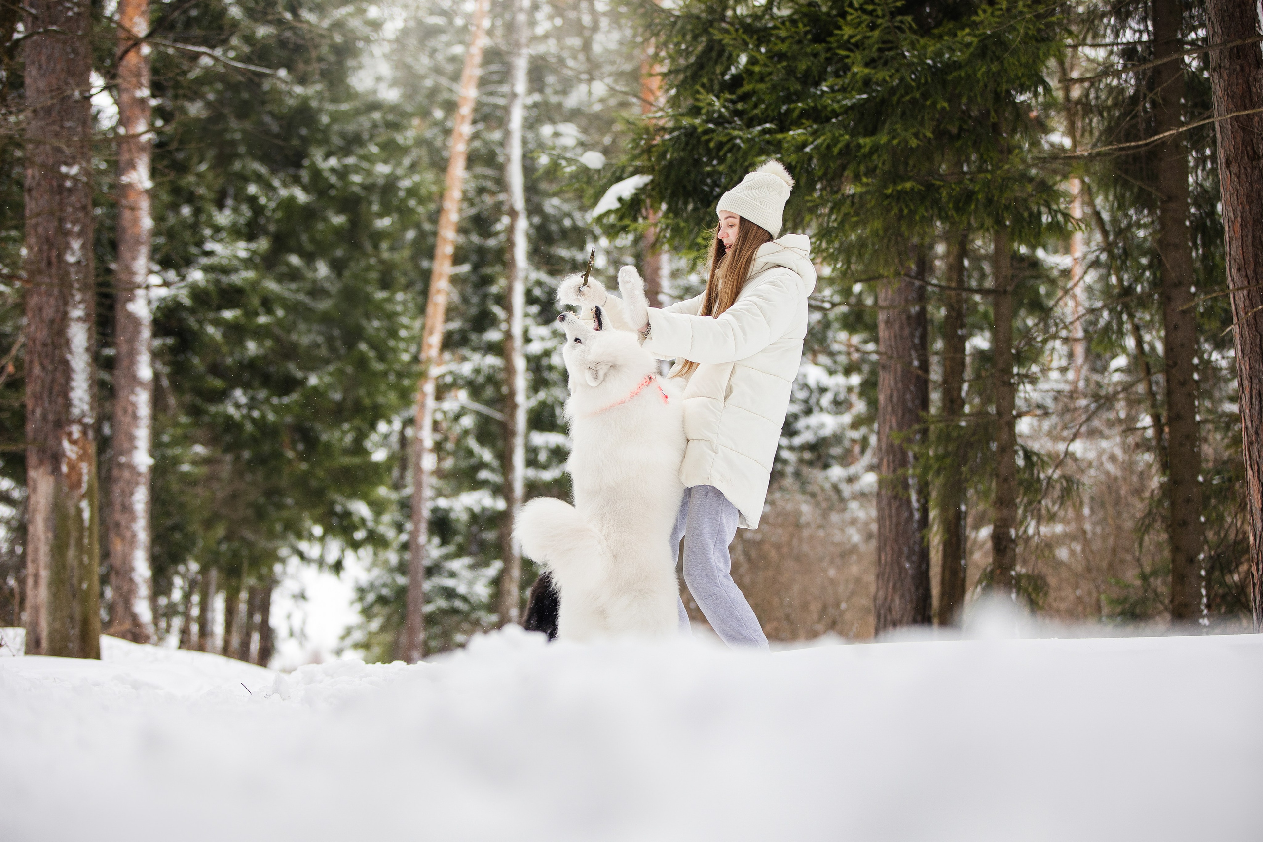 Валя, Варя и Лада. Фотограф анималист в Москве Майорова Евгения