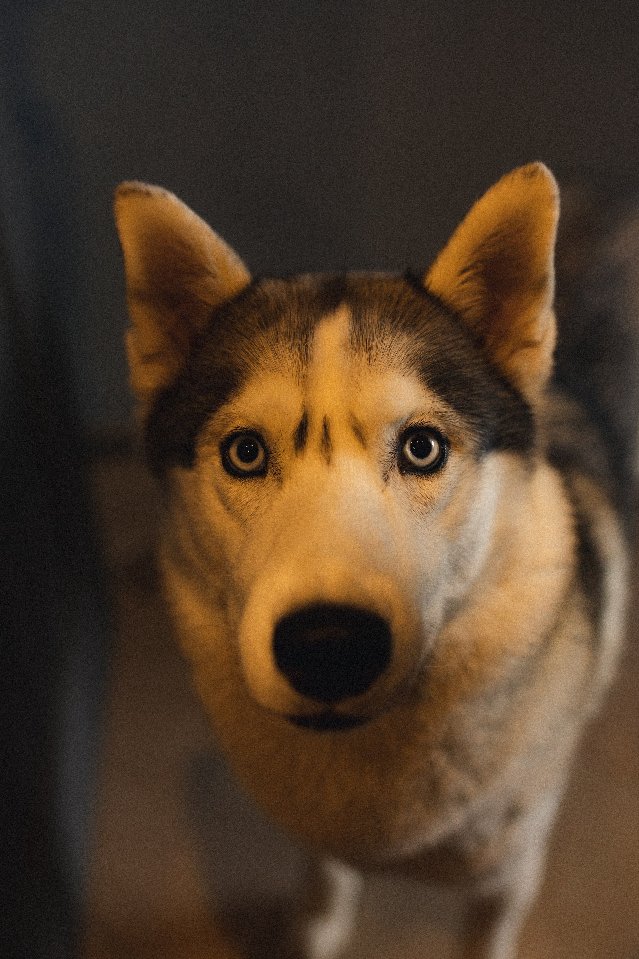 Блинная вечеринка. Фотограф из Петербурга