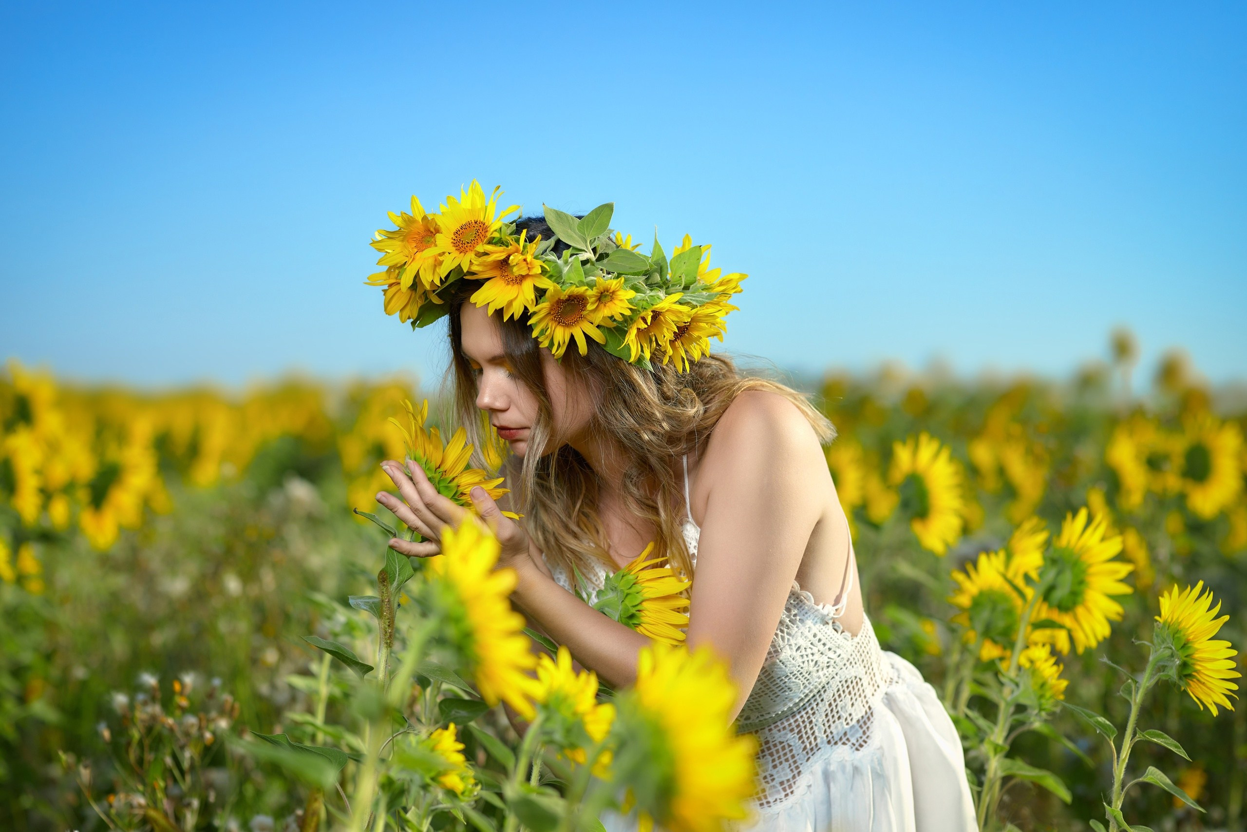 Фотосессия в подсолнухах. Владимир Суздалов (ProMaXe) — Портретный фотограф, тематические фотосессии в Чебоксарах
