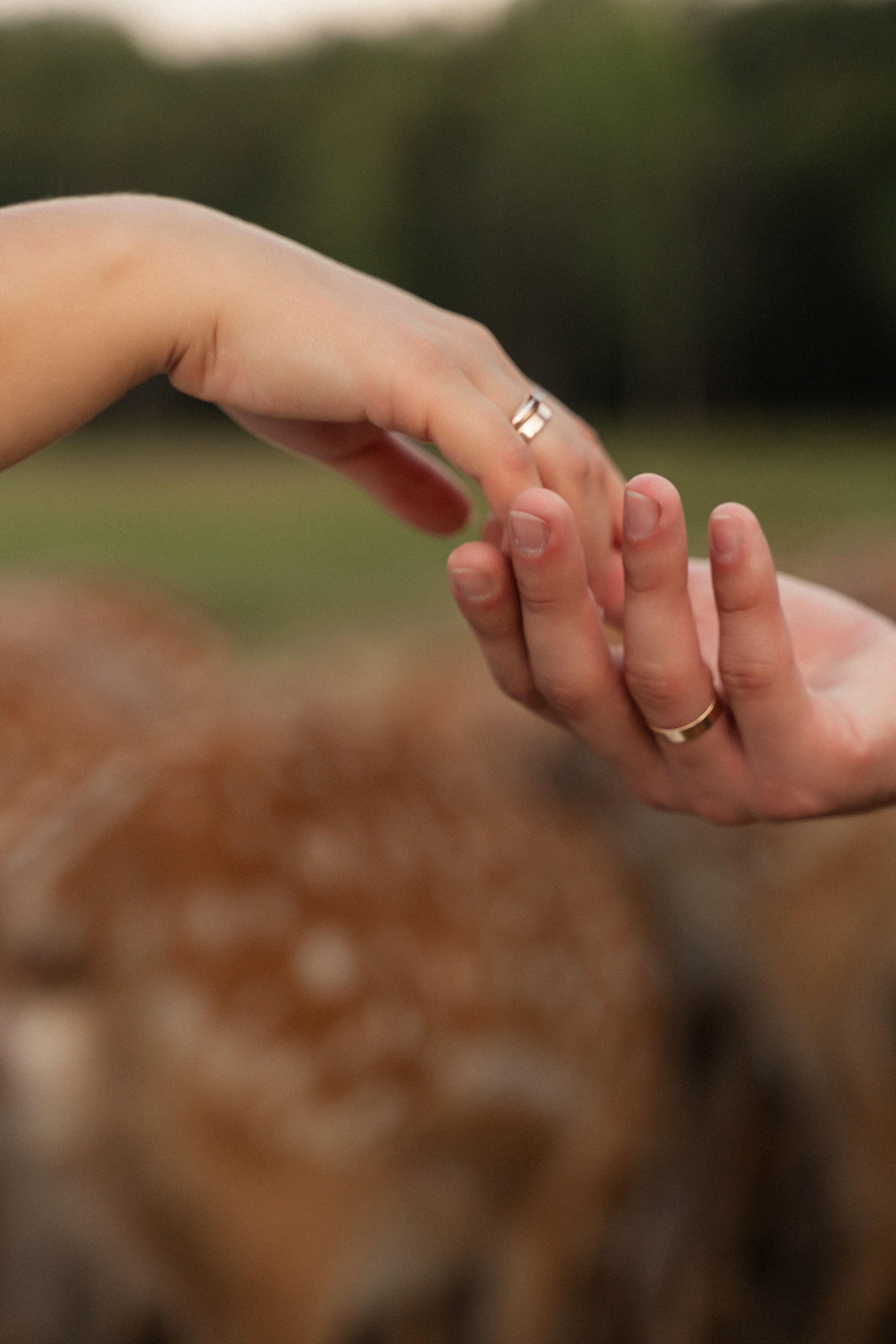 Алина и Сергей. Фотограф Алина Филимонова Тверь