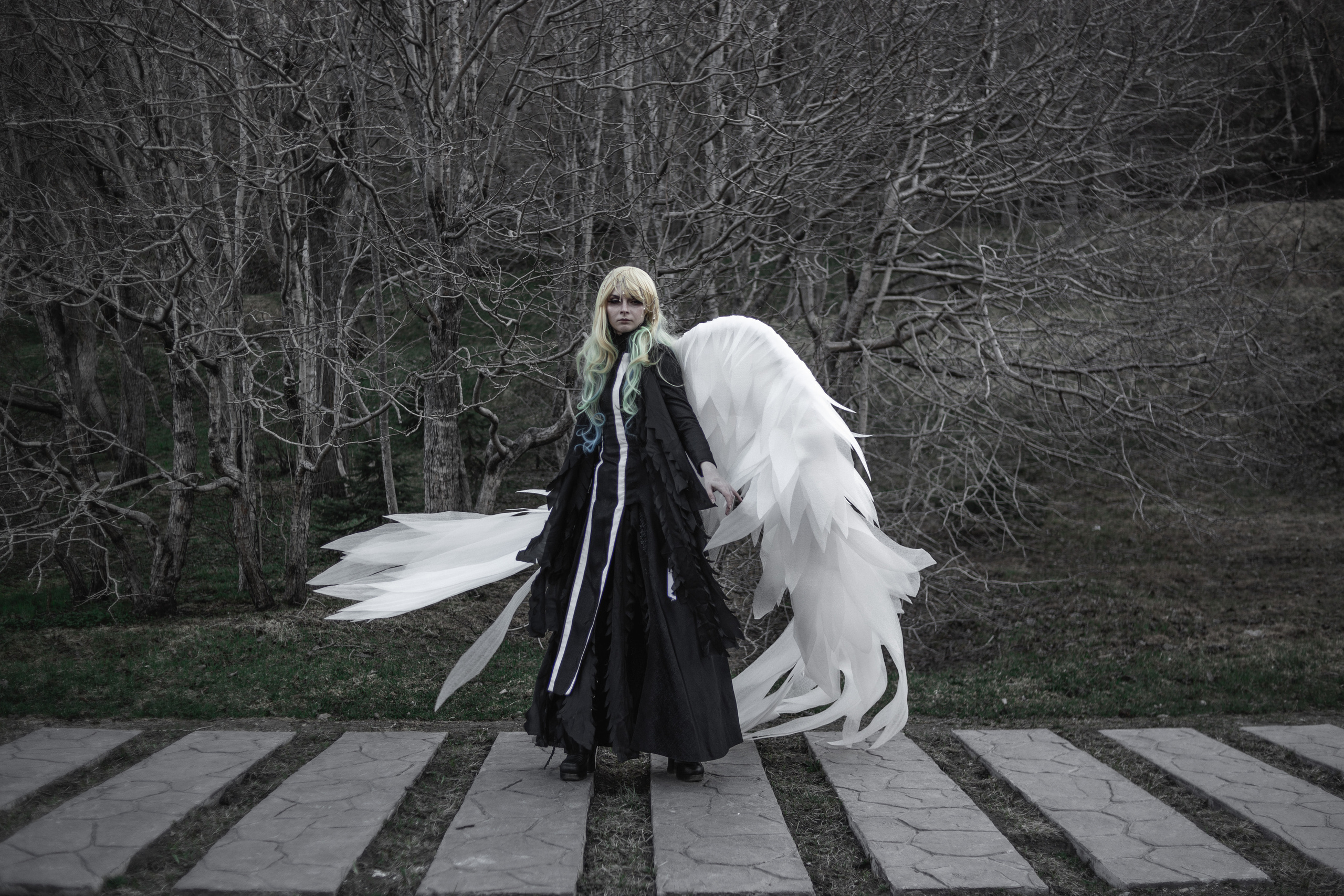 Камчатский арбат. Фотограф Камчатка