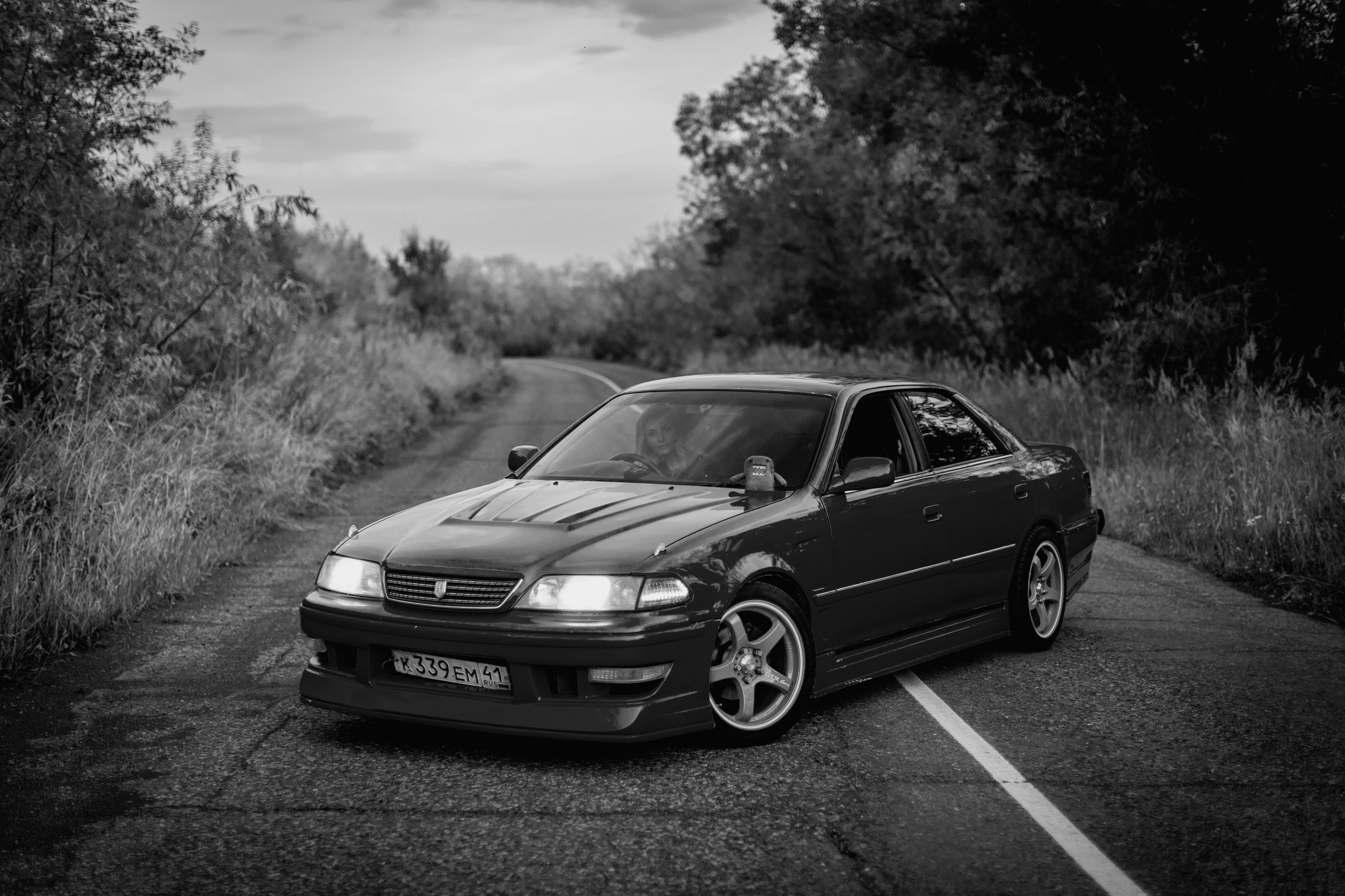 Зеленый марк. Фотограф Камчатка