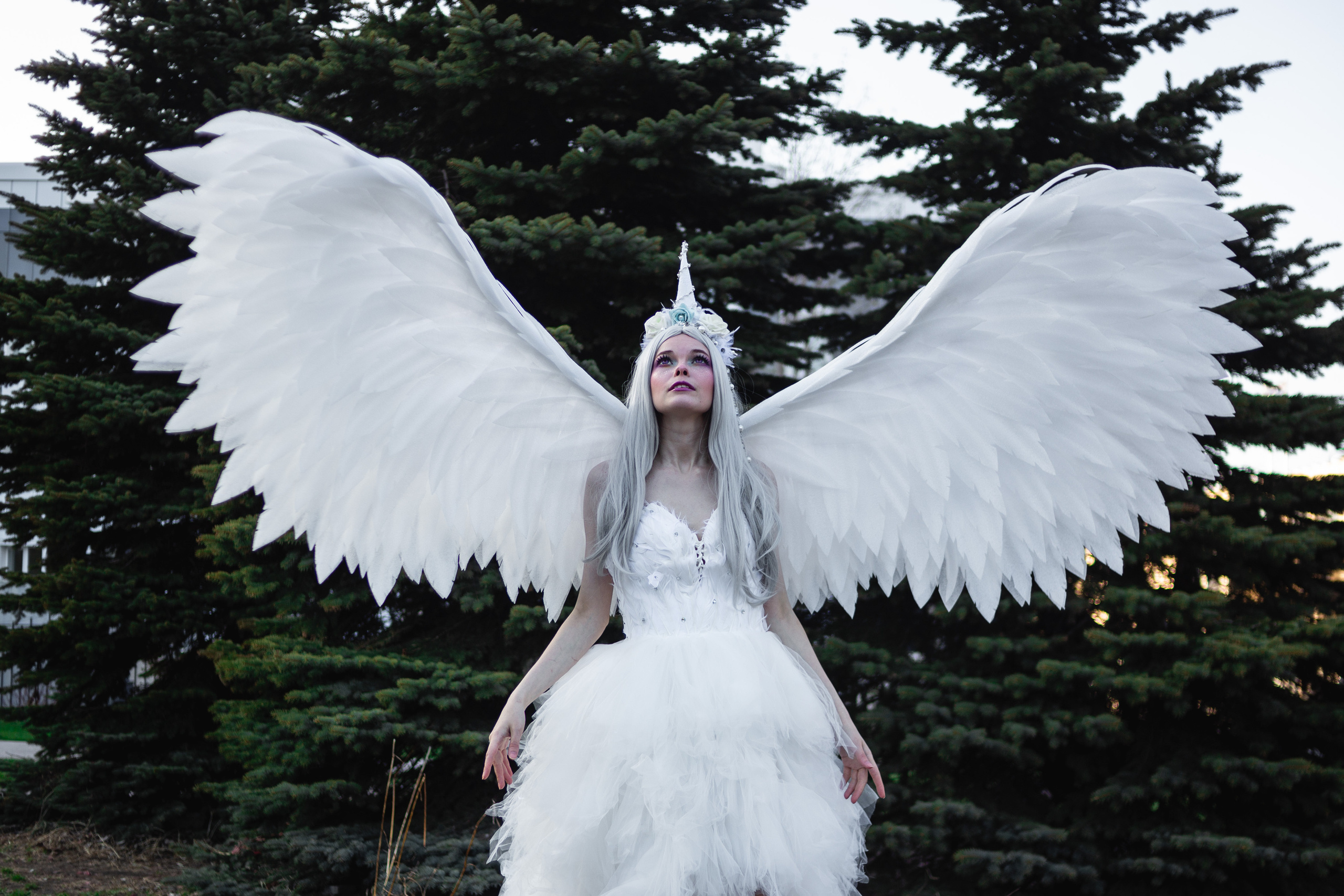 Камчатский арбат. Фотограф Камчатка