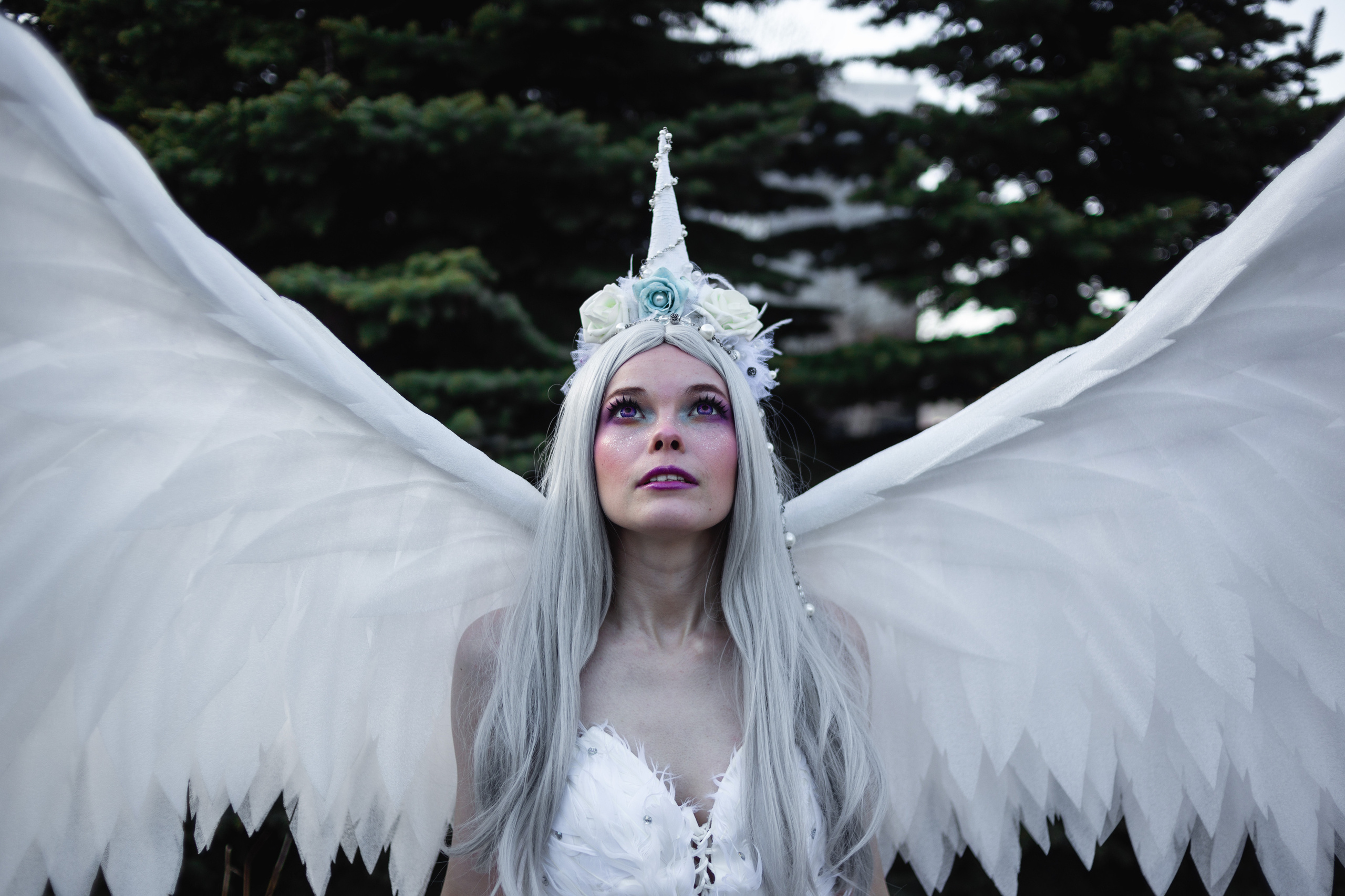 Камчатский арбат. Фотограф Камчатка