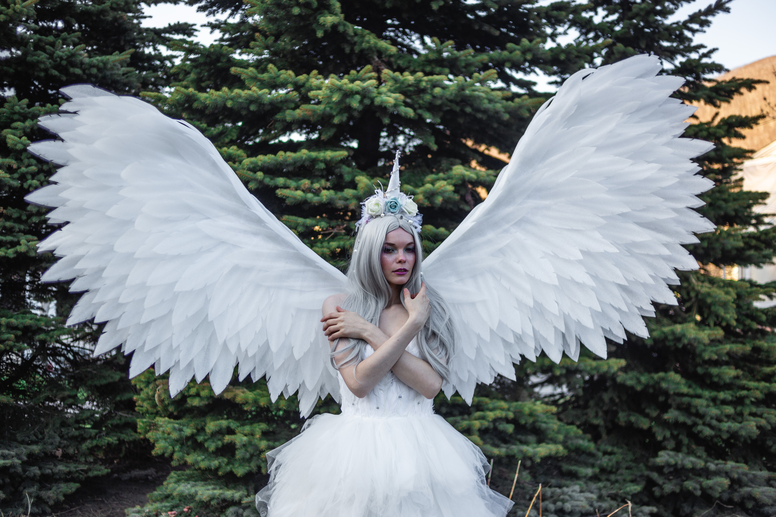 Камчатский арбат. Фотограф Камчатка