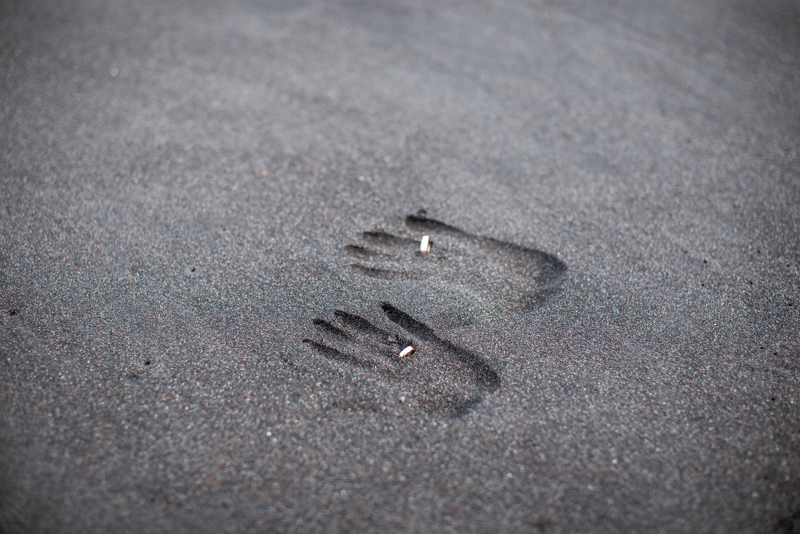 Свадебное портфолио Камчатского фотографа. Фотограф Камчатка