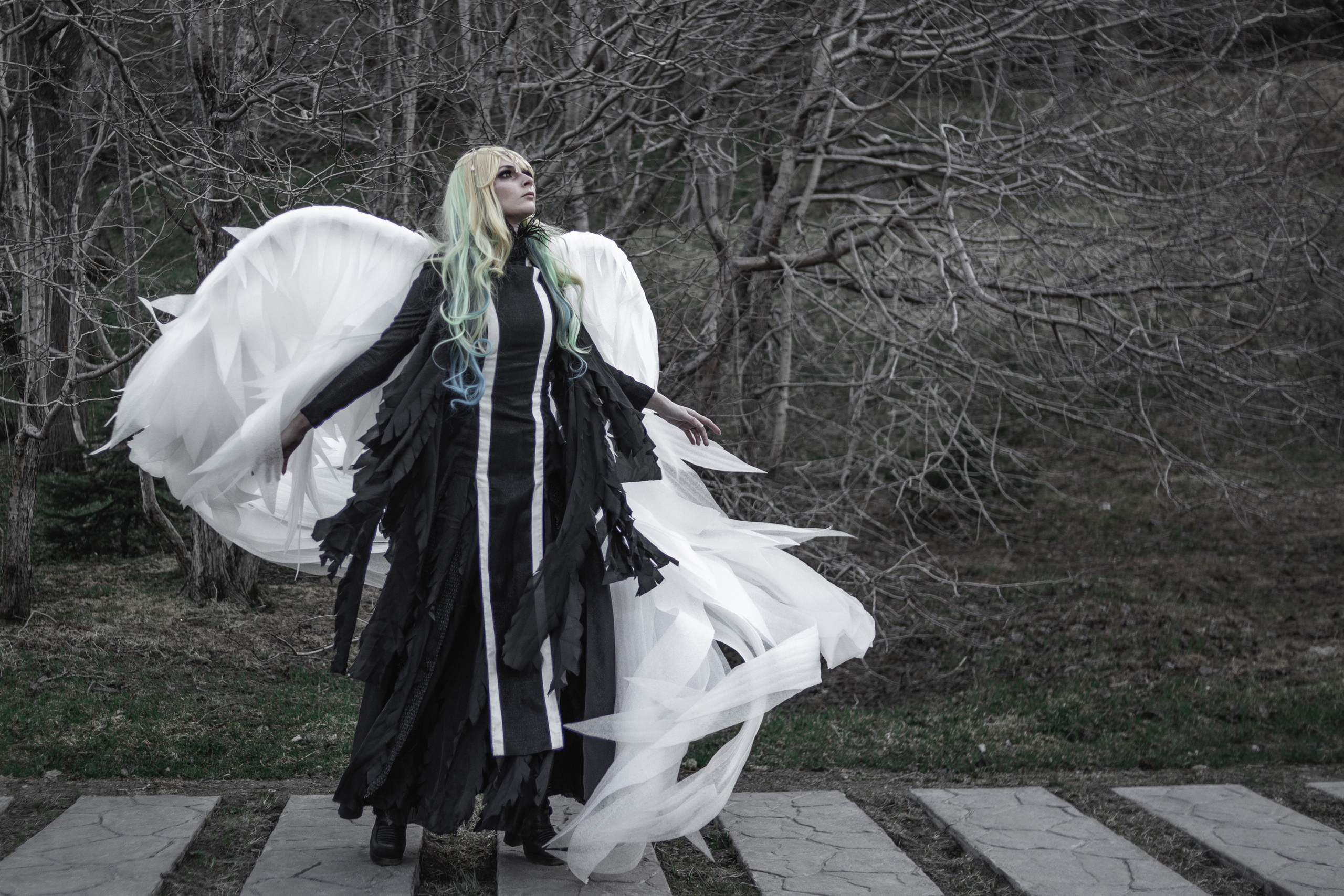 Камчатский арбат. Фотограф Камчатка