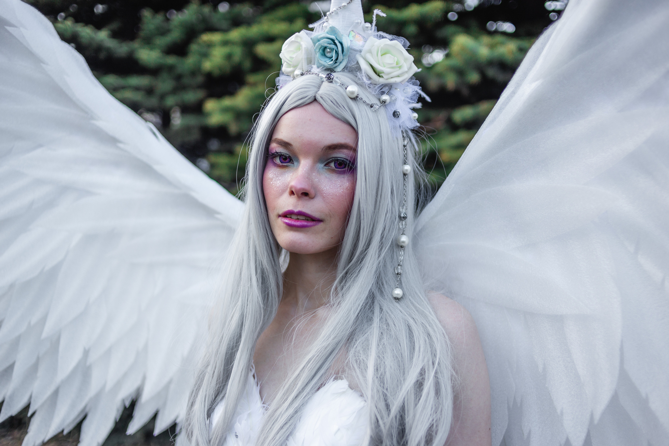 Камчатский арбат. Фотограф Камчатка