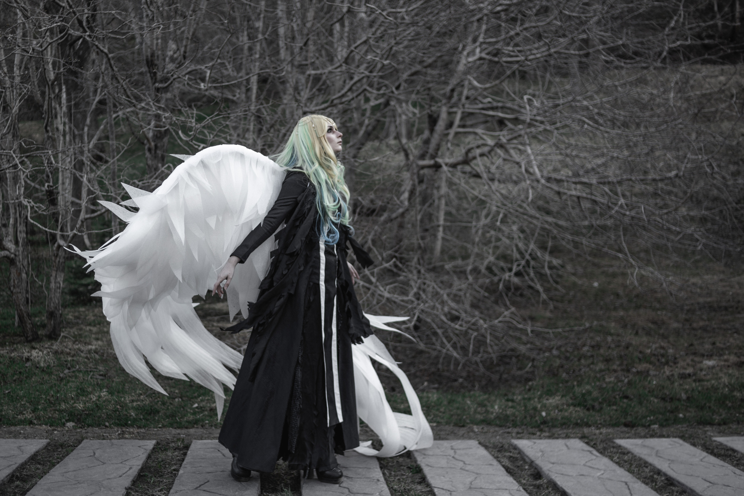 Камчатский арбат. Фотограф Камчатка