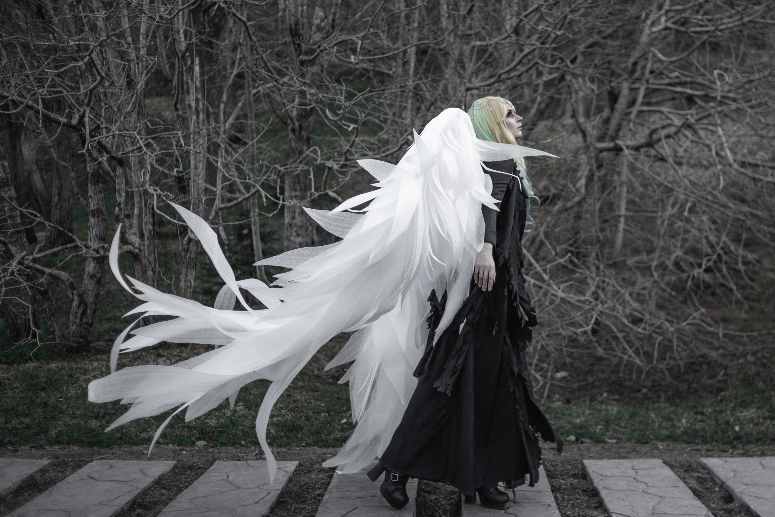 Камчатский арбат. Фотограф Камчатка