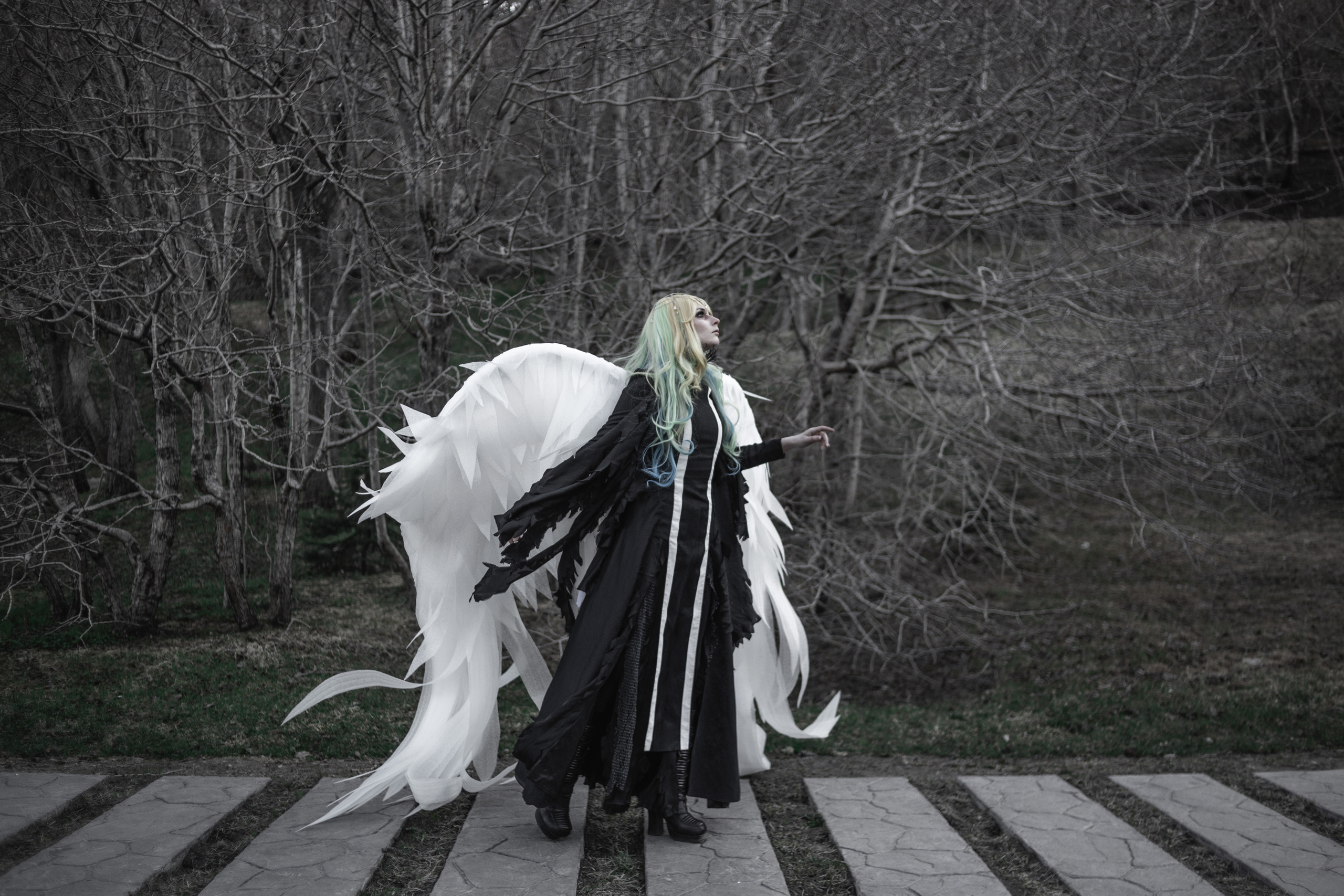 Камчатский арбат. Фотограф Камчатка