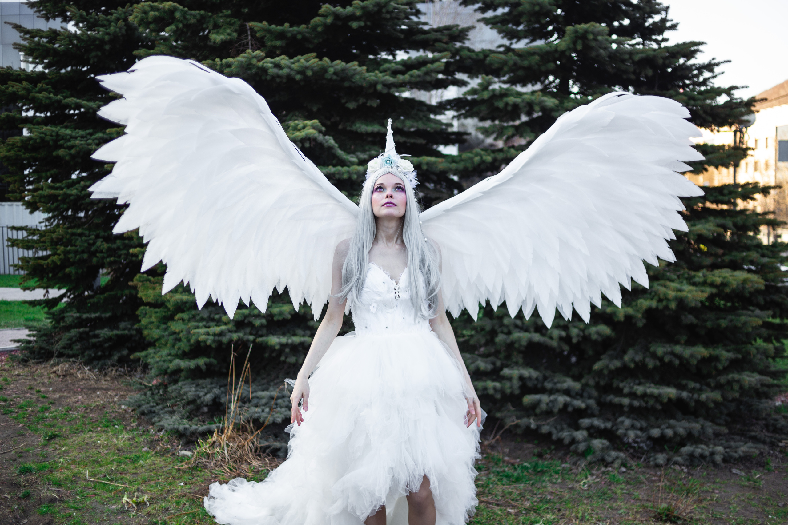 Камчатский арбат. Фотограф Камчатка