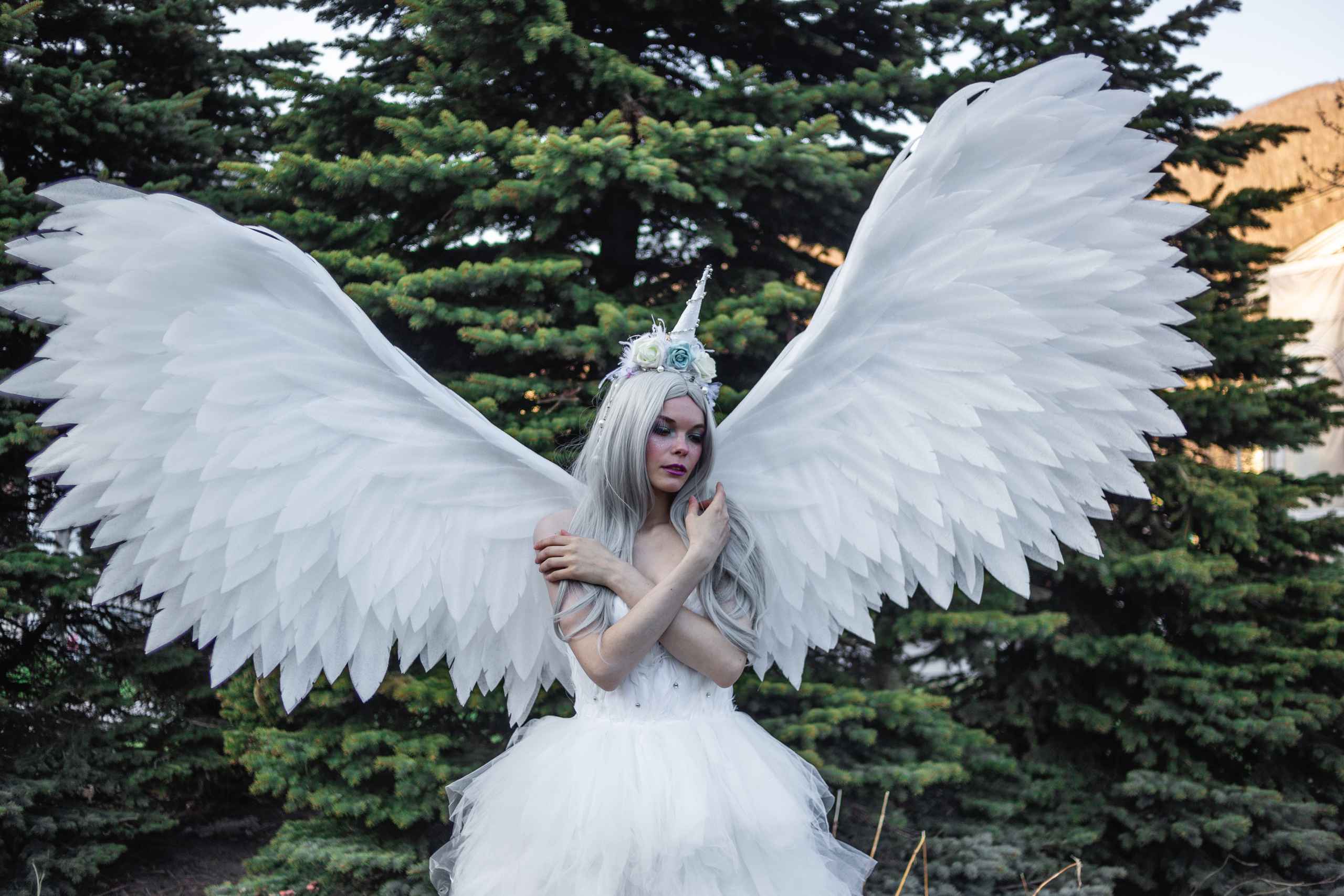 Камчатский арбат. Фотограф Камчатка