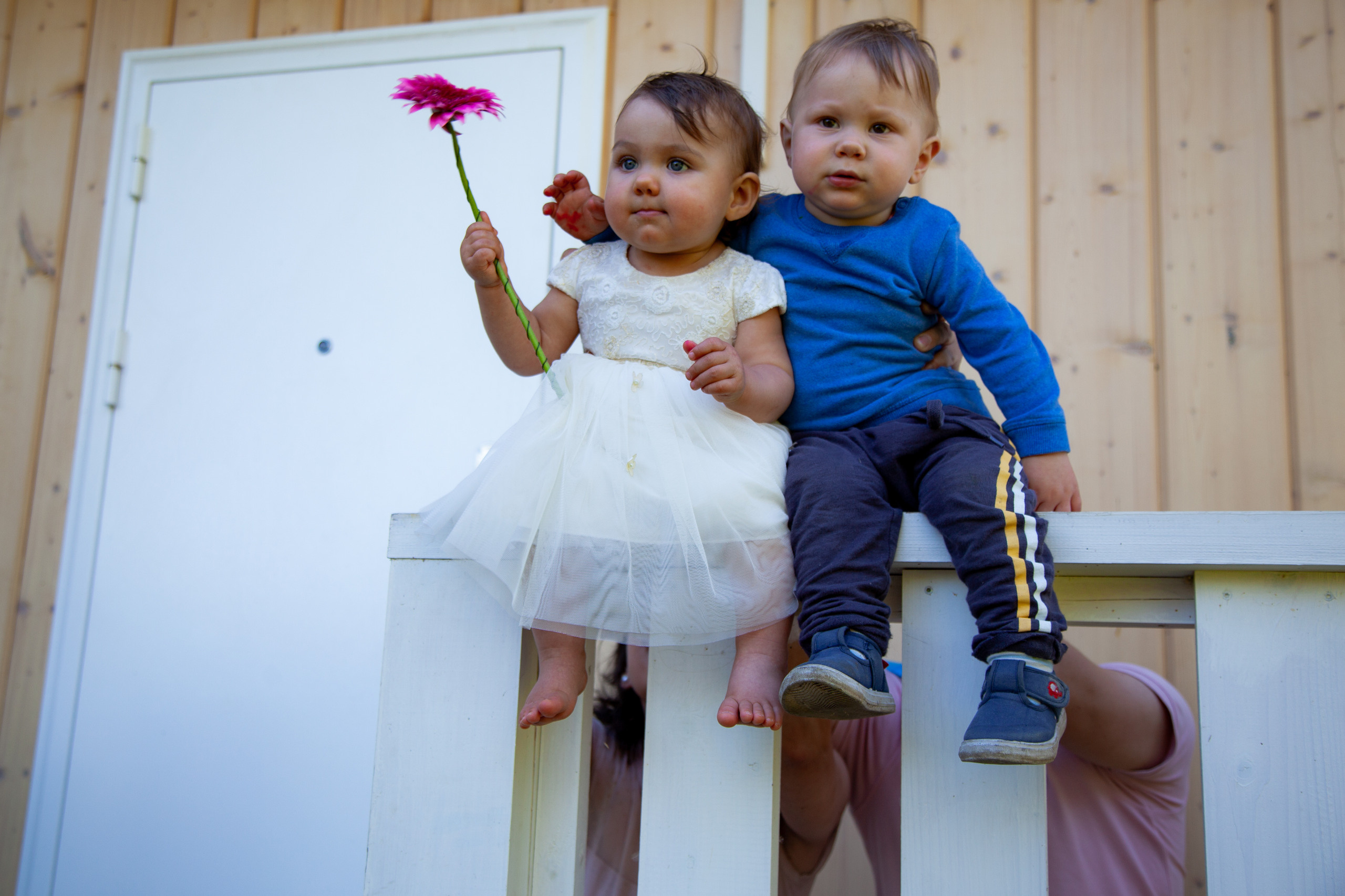 Первый годик малышки. Фотограф Анастасия Аветян. Санкт-Петербург