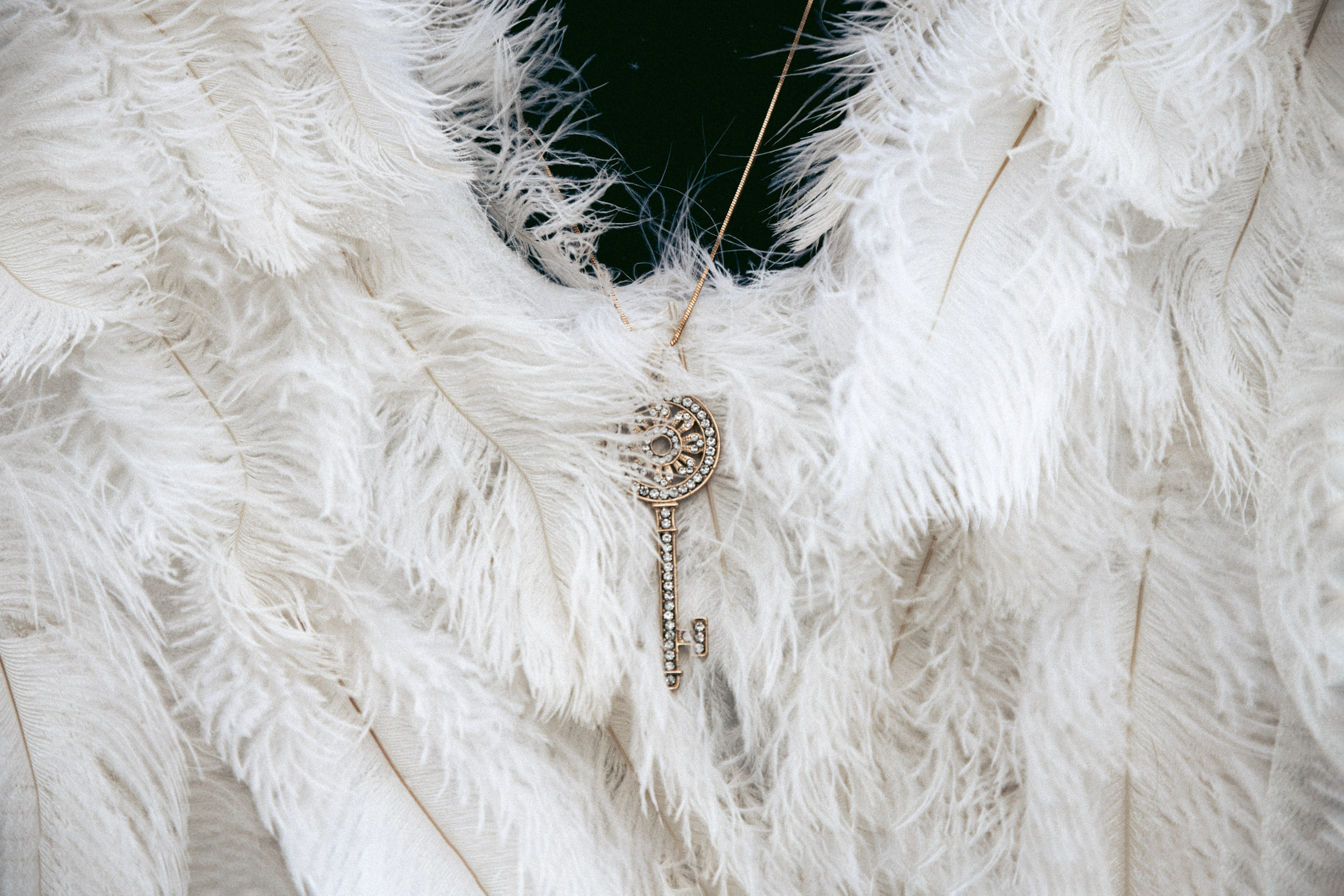 ALLTIME jewerly. PLANTA ROSA — REPORTAGE