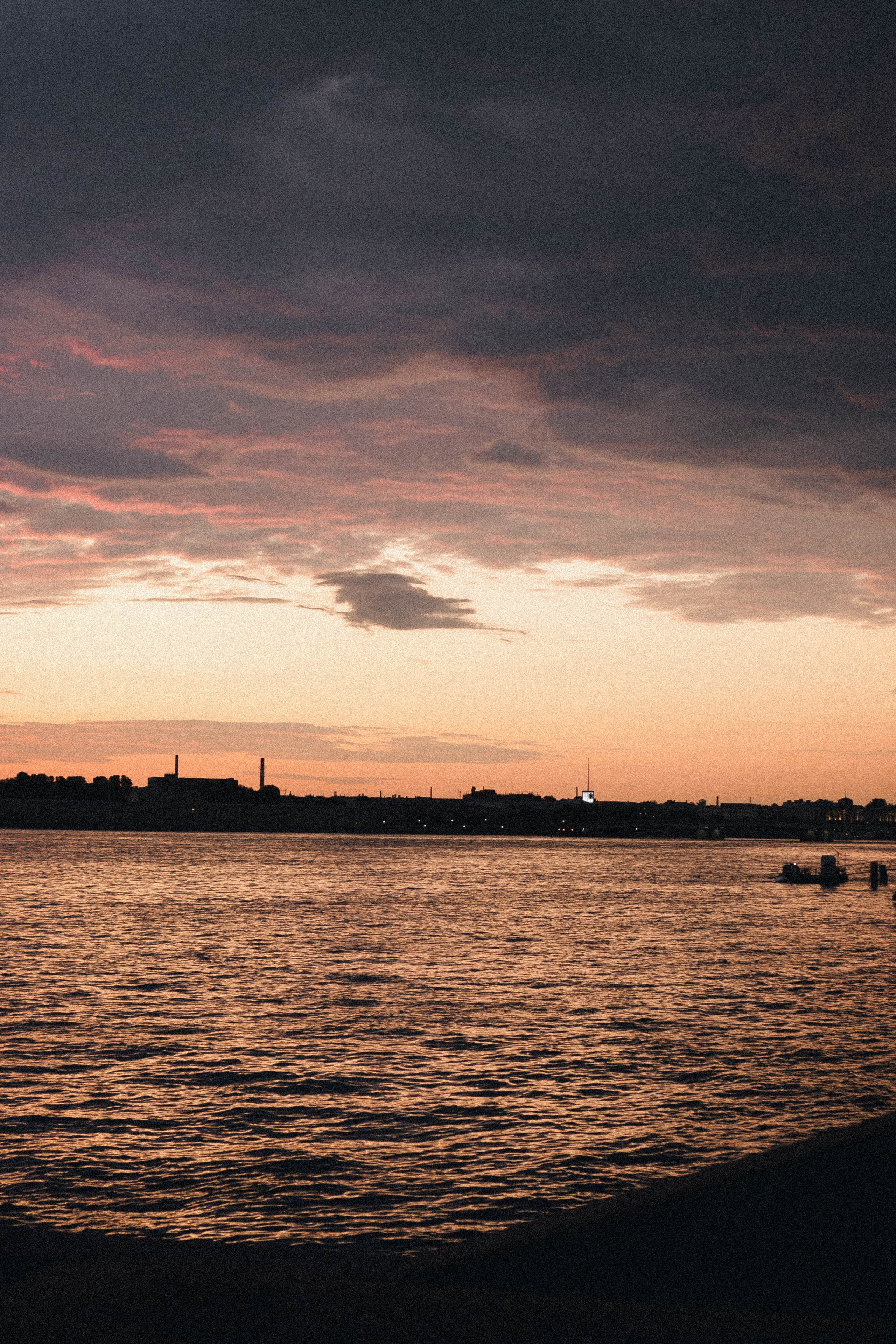 Любовь. Профессиональный фотограф, Санкт-Петербург — Виктория Богомолова