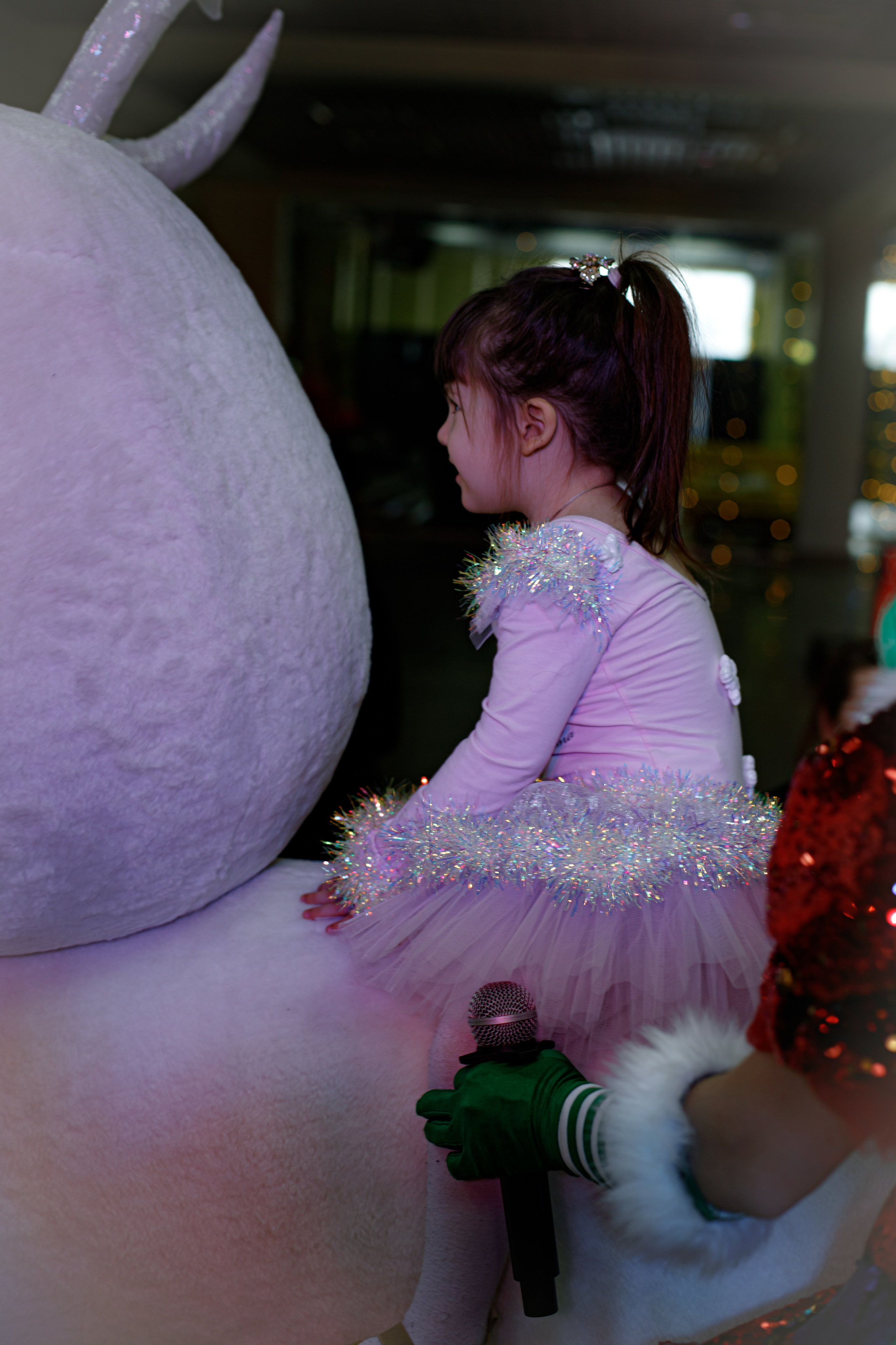 Happy new year. Photokarish