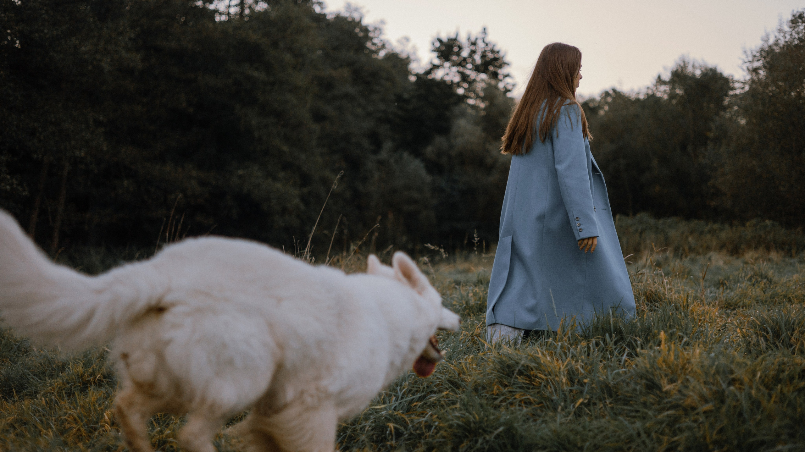 Вика и Уля. Фотограф-анималист Богданова Полина