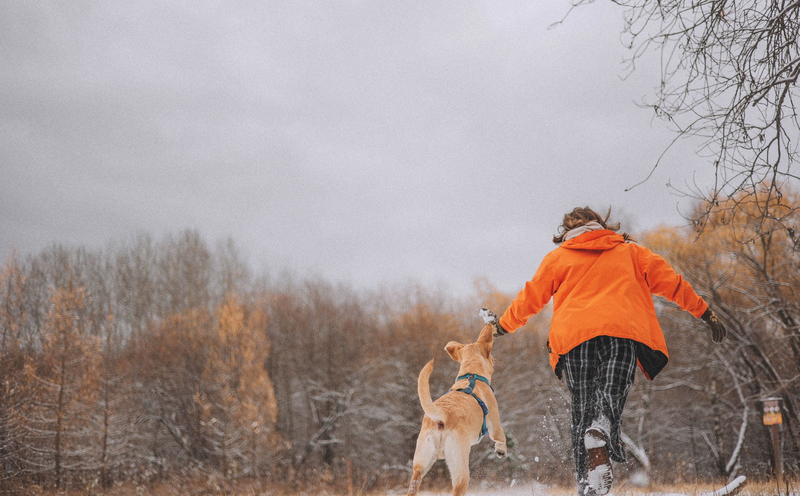 Маргарита и Варди. Фотограф-анималист Богданова Полина