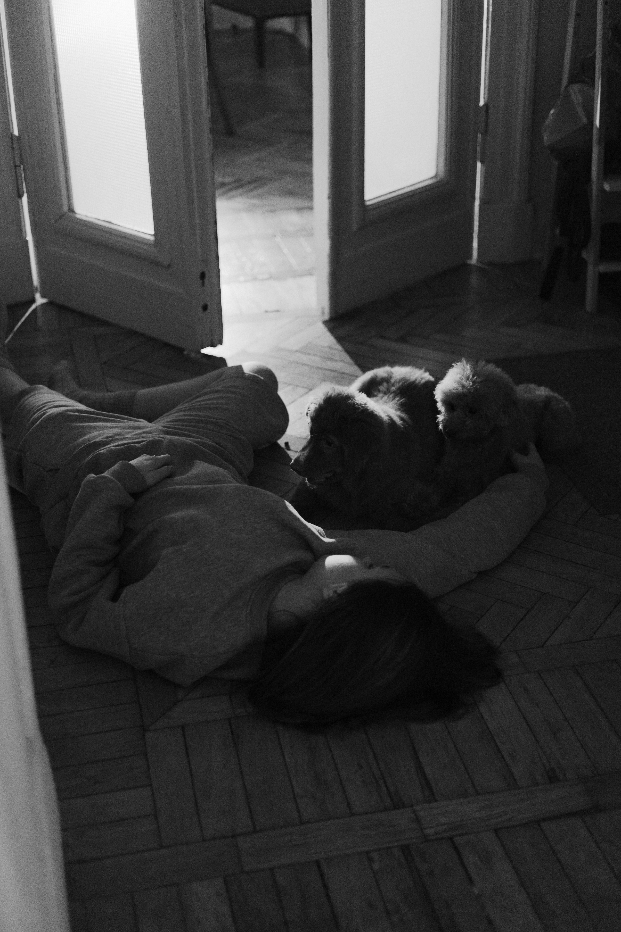 Маша, Одди и Нэвил. Фотограф-анималист Богданова Полина