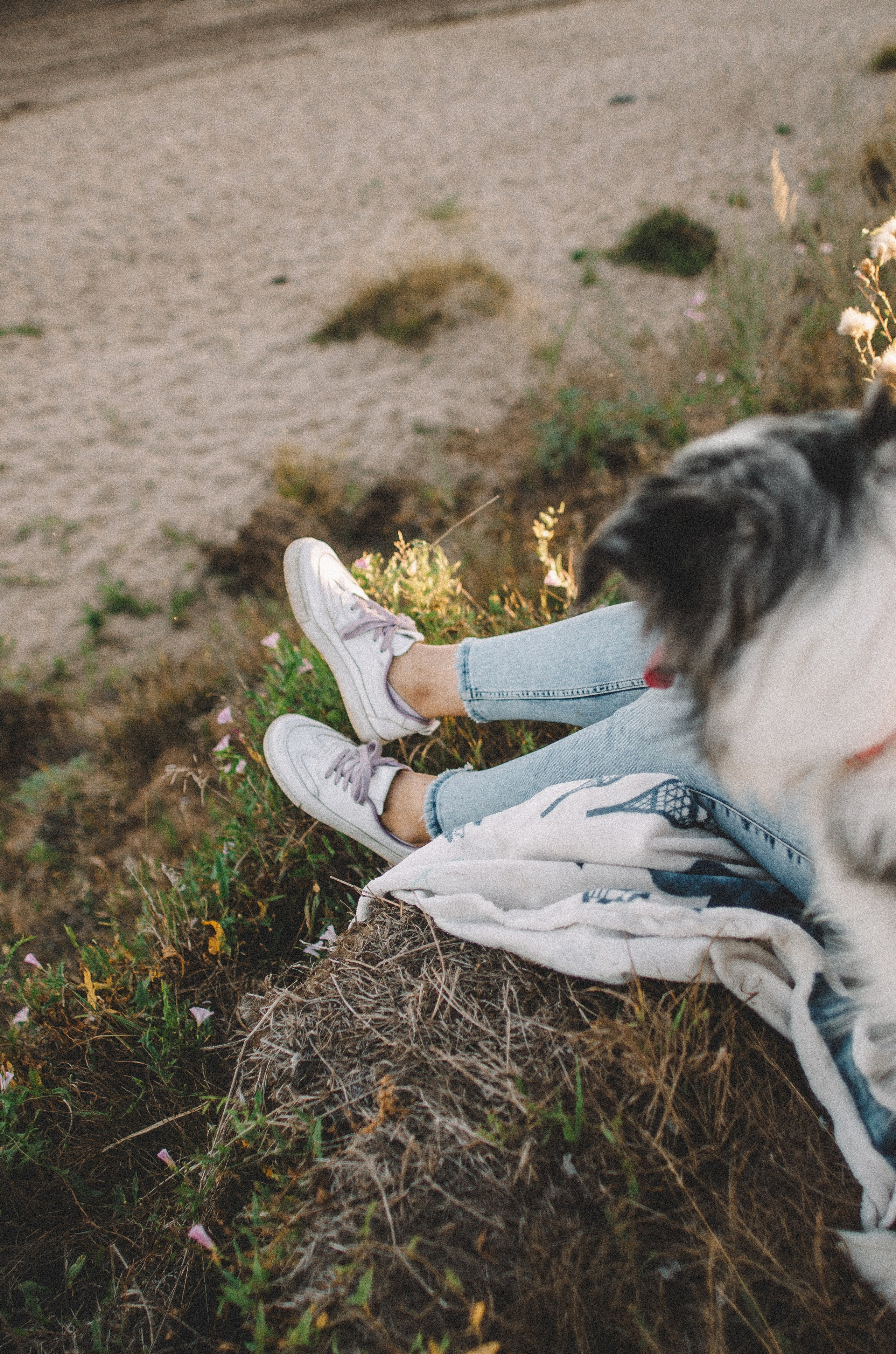 Таня и Бриллиант. Фотограф-анималист Богданова Полина