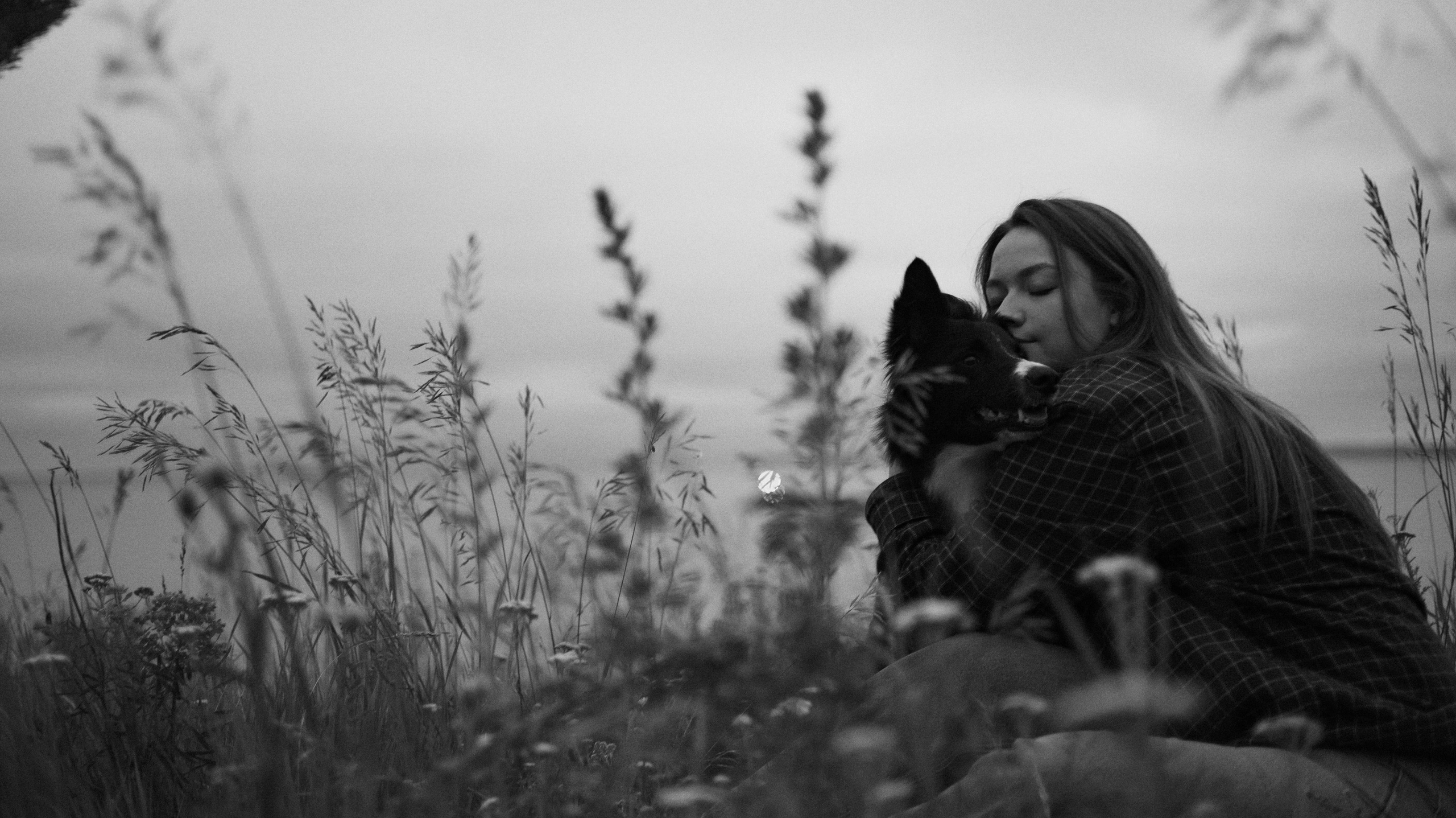 Аделя, Вандер, Шайна и Бая. Фотограф-анималист Богданова Полина